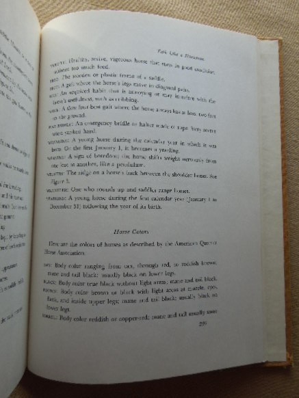 Saddle Up by Charles E. Ball