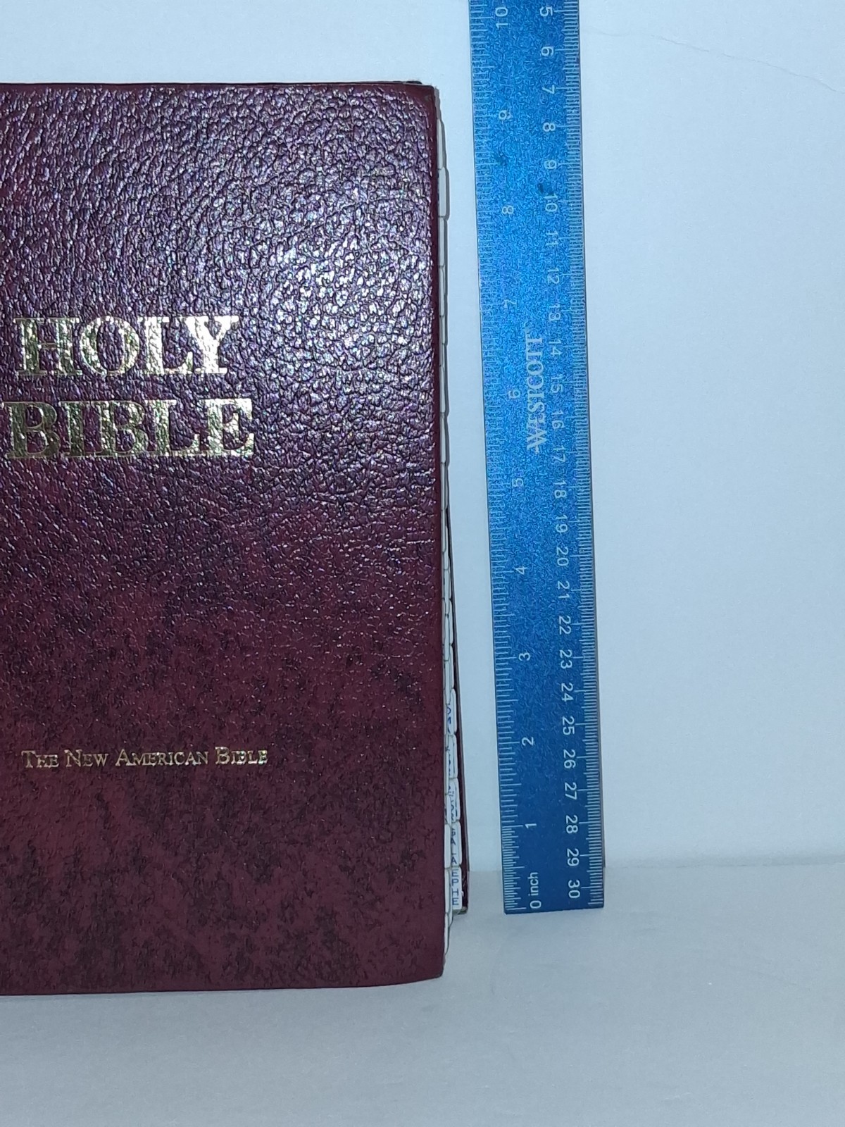 The New American Bible Fireside Catholic Study Edition NAB Leather Cover