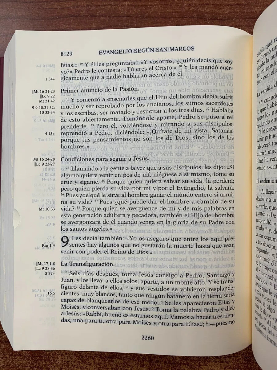 BIBLIA DE JERUSALEN.CATOLICA EN LETRA GRANDE REVISADA Y AUMENTADA CON INDICE
