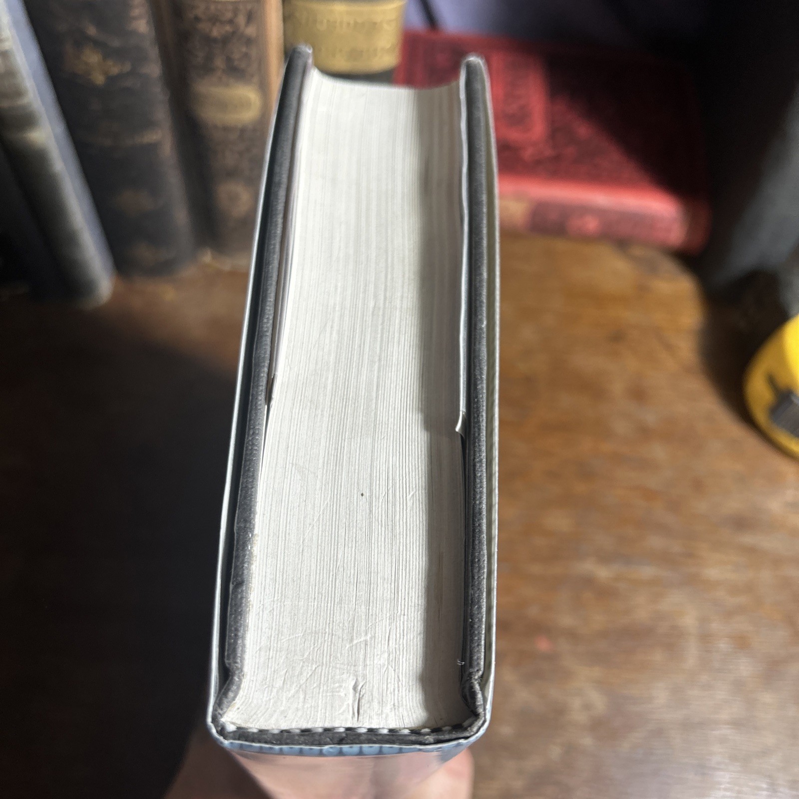 Beyond the Limit The Dream Sofya Kovalevskaya Spicci, Joan HCDJ 1st Ed 1st Print