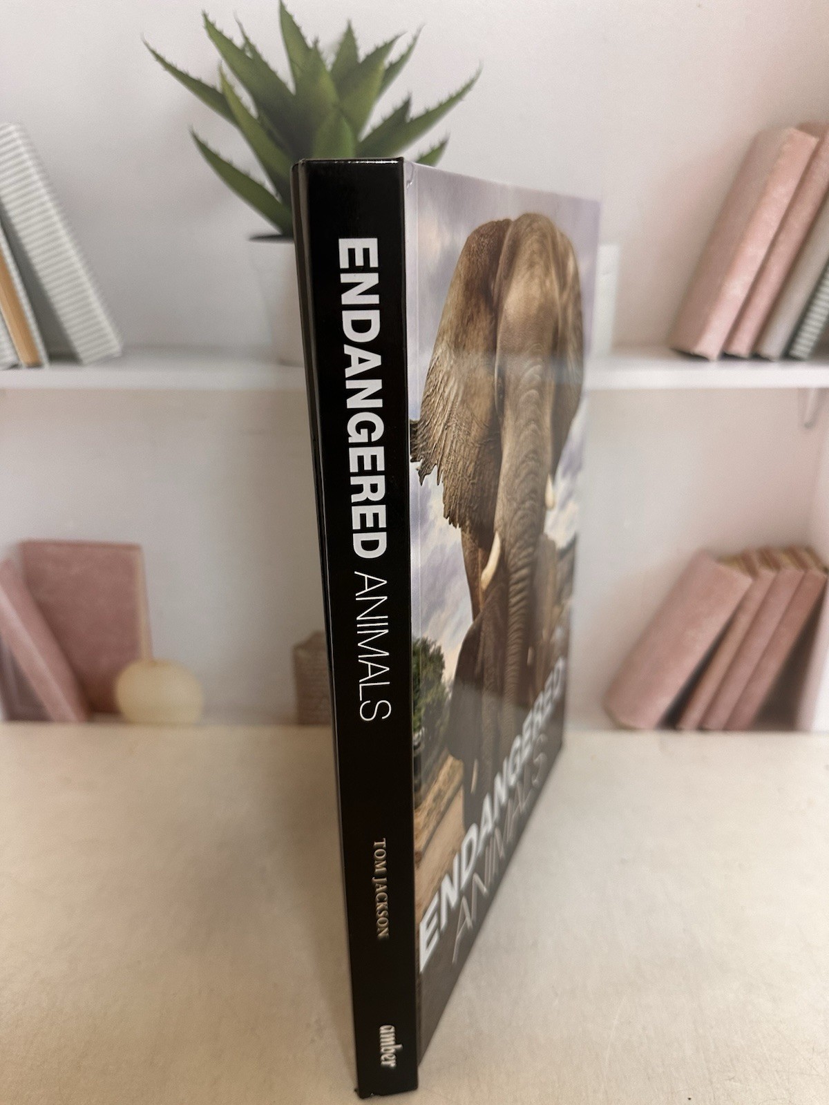 Endangered Animals by Jackson, Tom 2022 Amber Books Ltd