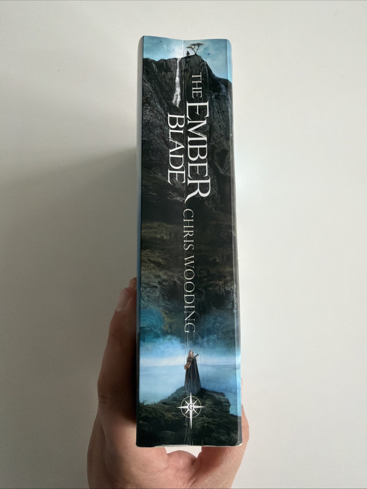 The Ember Blade: A breathtaking fantasy adventure by Chris Wooding: Used