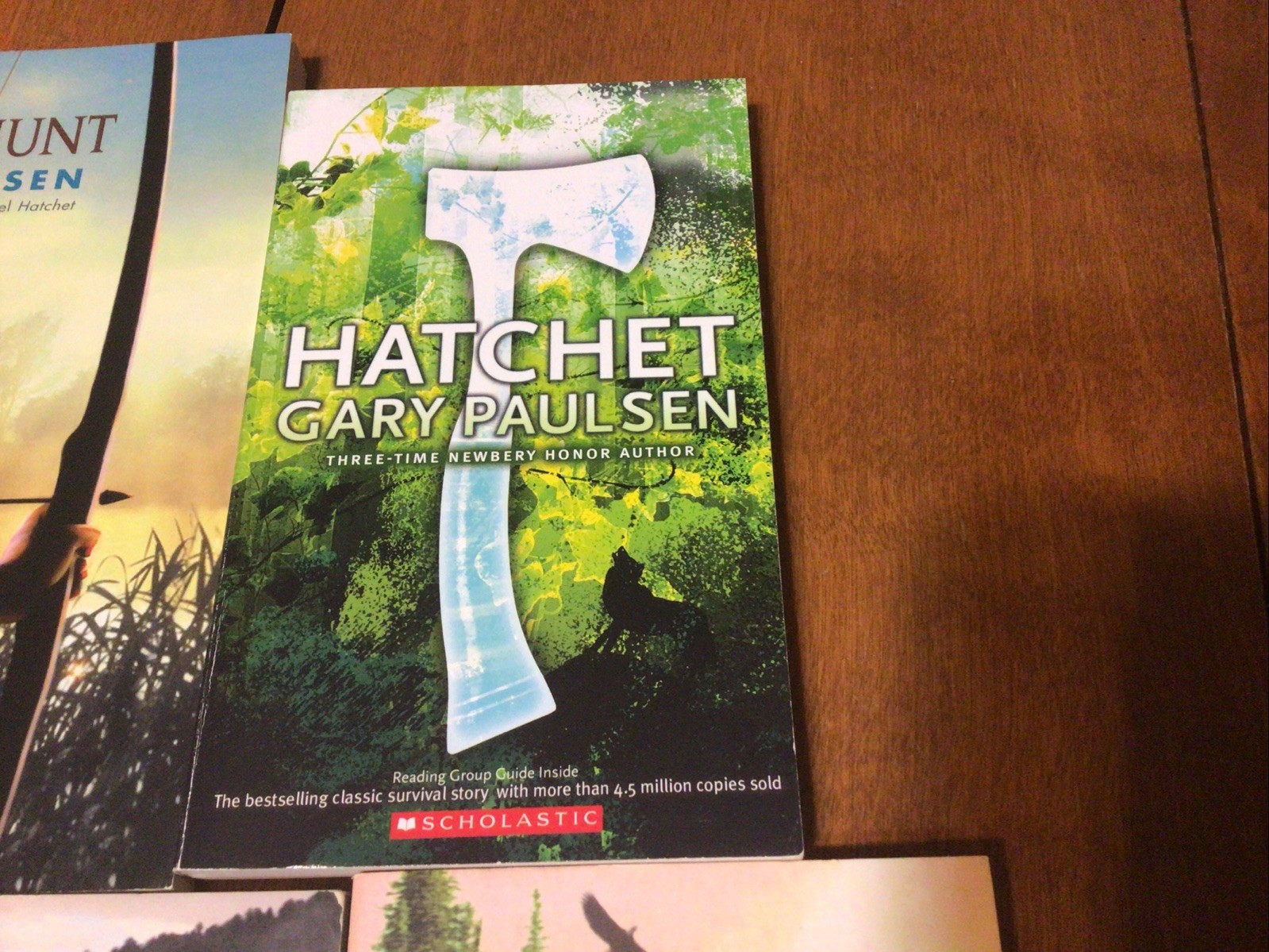 Complete Set Lot Of 5 BRIAN Books Paulsen HATCHET River HUNT Return WINTER (L2)