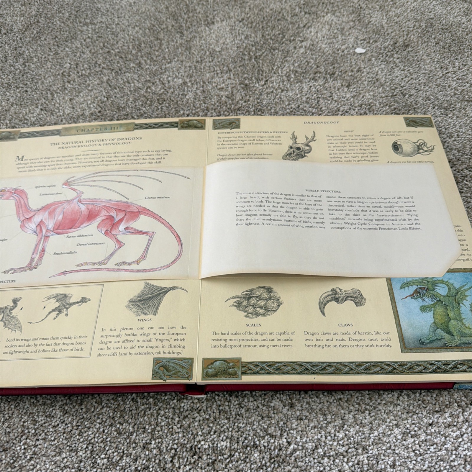 Ologies Ser.: Dragonology : The Complete Book of Dragons by Ernest Drake (2003,