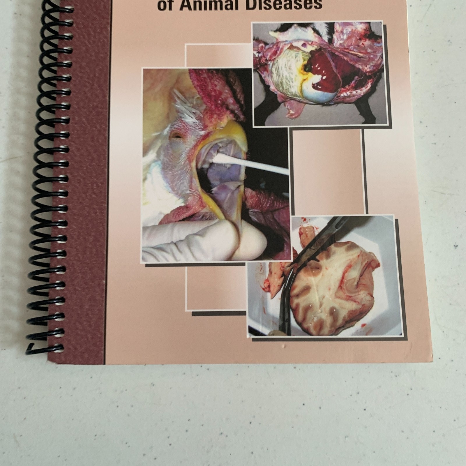 A Field Manual For Collection Of Speciments To Enhance Diagnosis Of Animal Disea