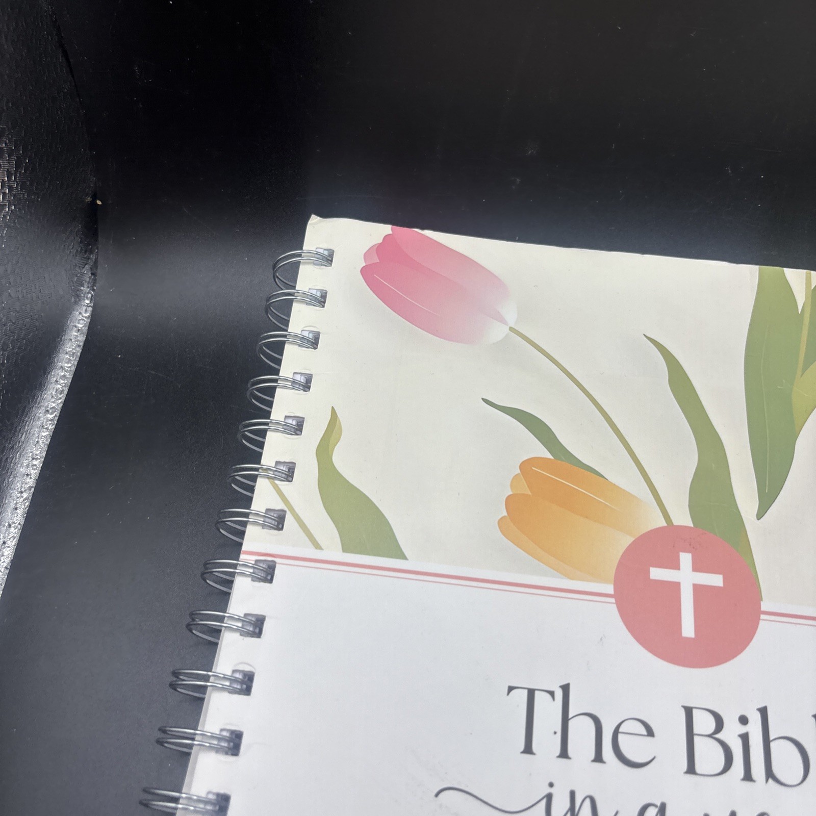 The Bible in a Year Spiral Bound Study Guide 52-Week Journey Through God’s Word