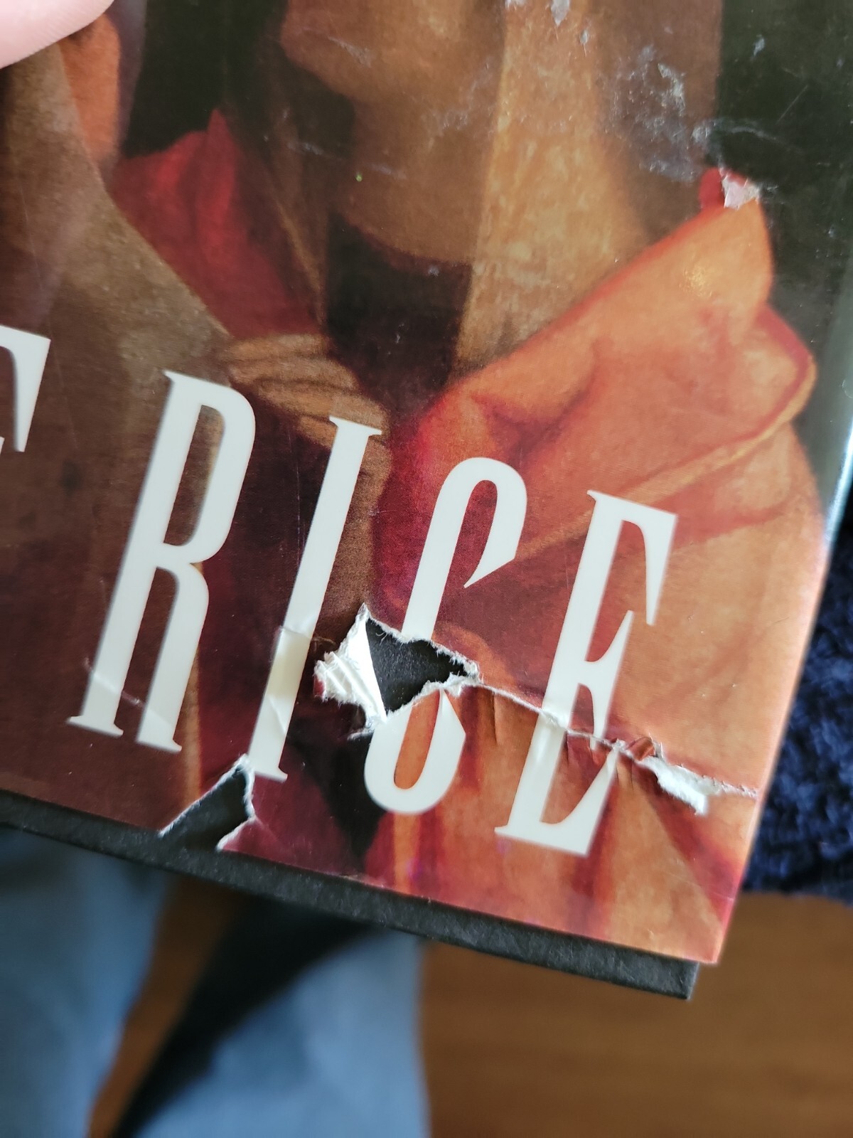 Vampire Chronicles Ser.: Memnoch the Devil : The Vampire Chronicles by Anne Rice
