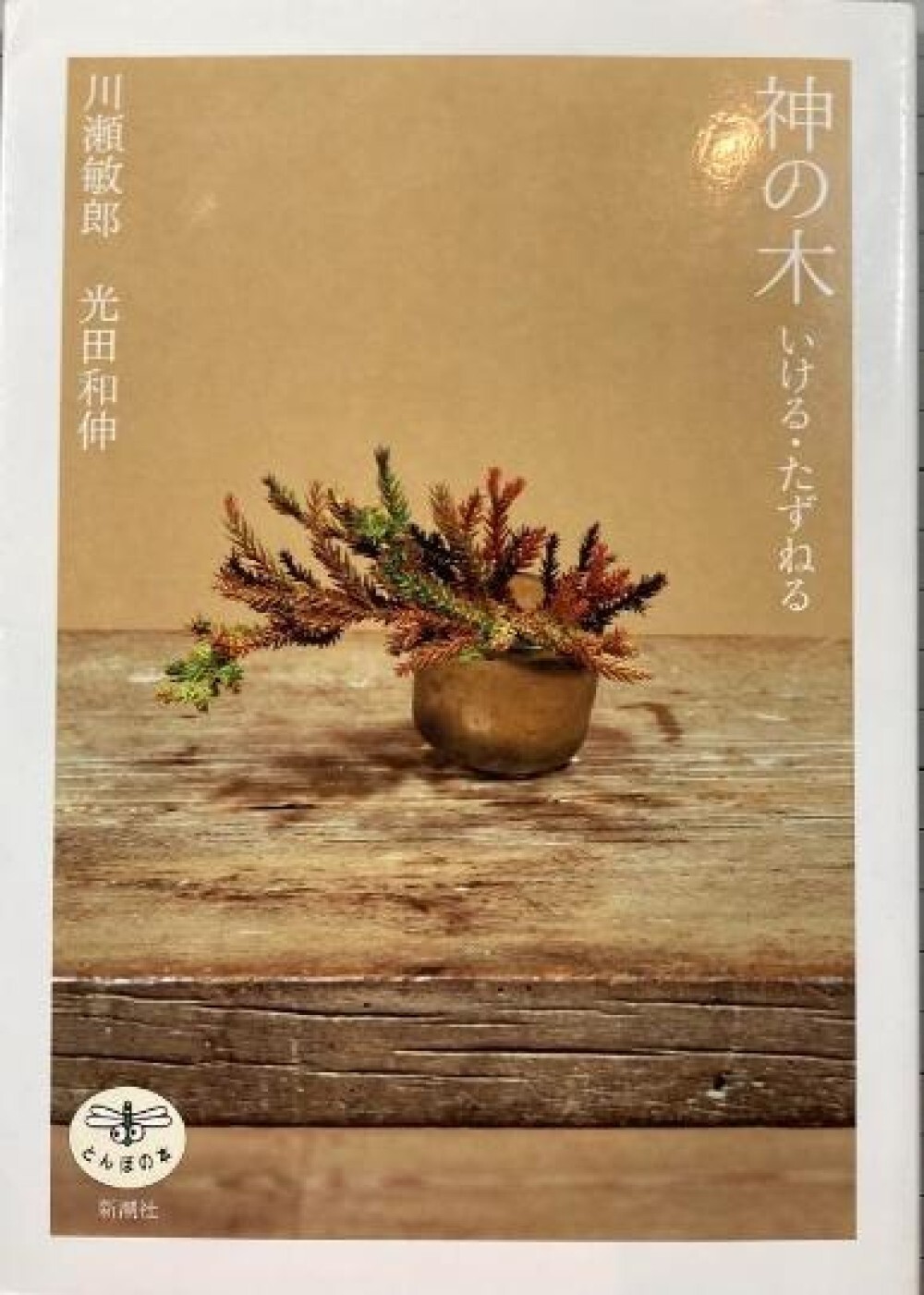 Toshiro Kawase – „God’s Tree: Go/Visit“ Japanese sacred tree art