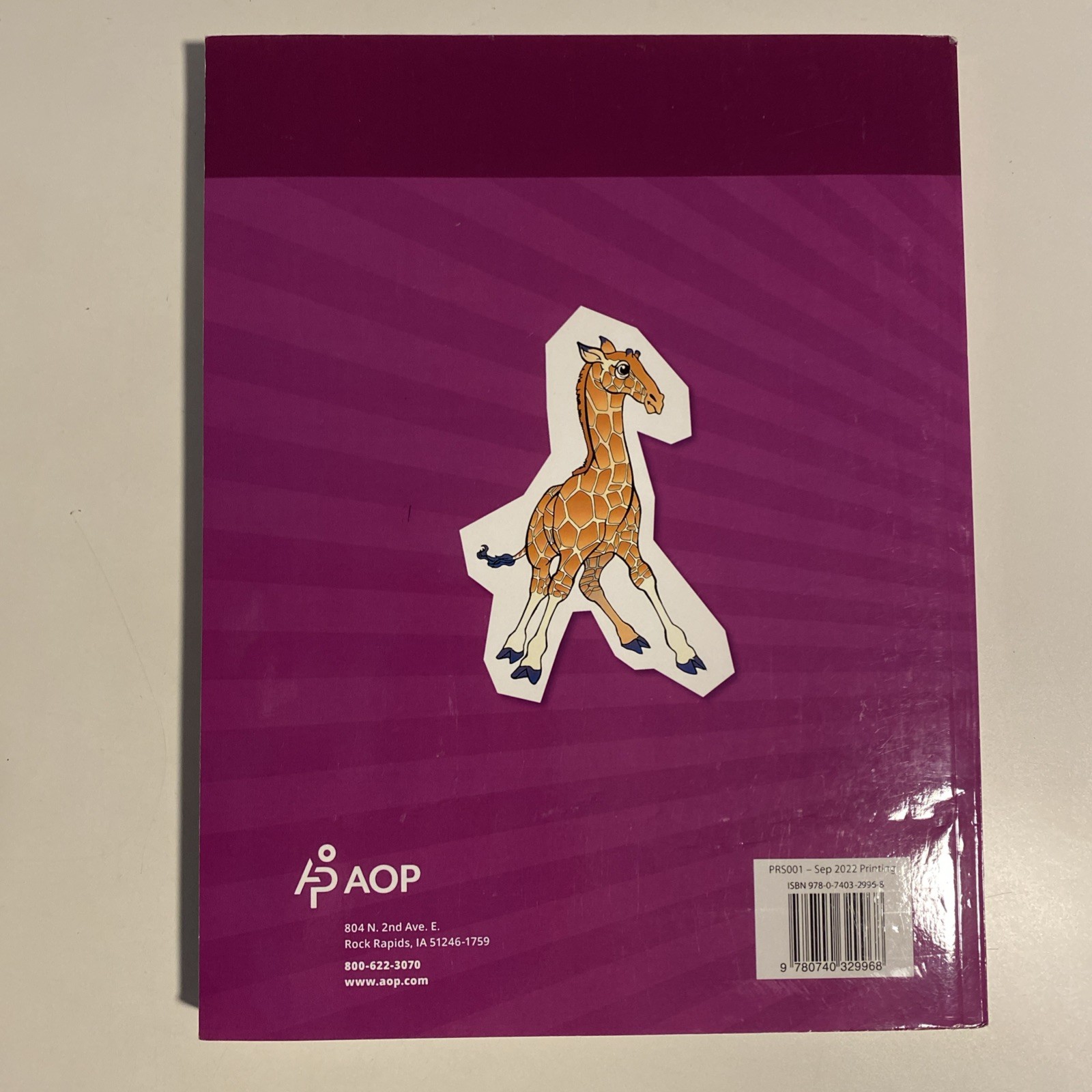 Horizons-Preschool For Threes Student Workbook, Clean Pages