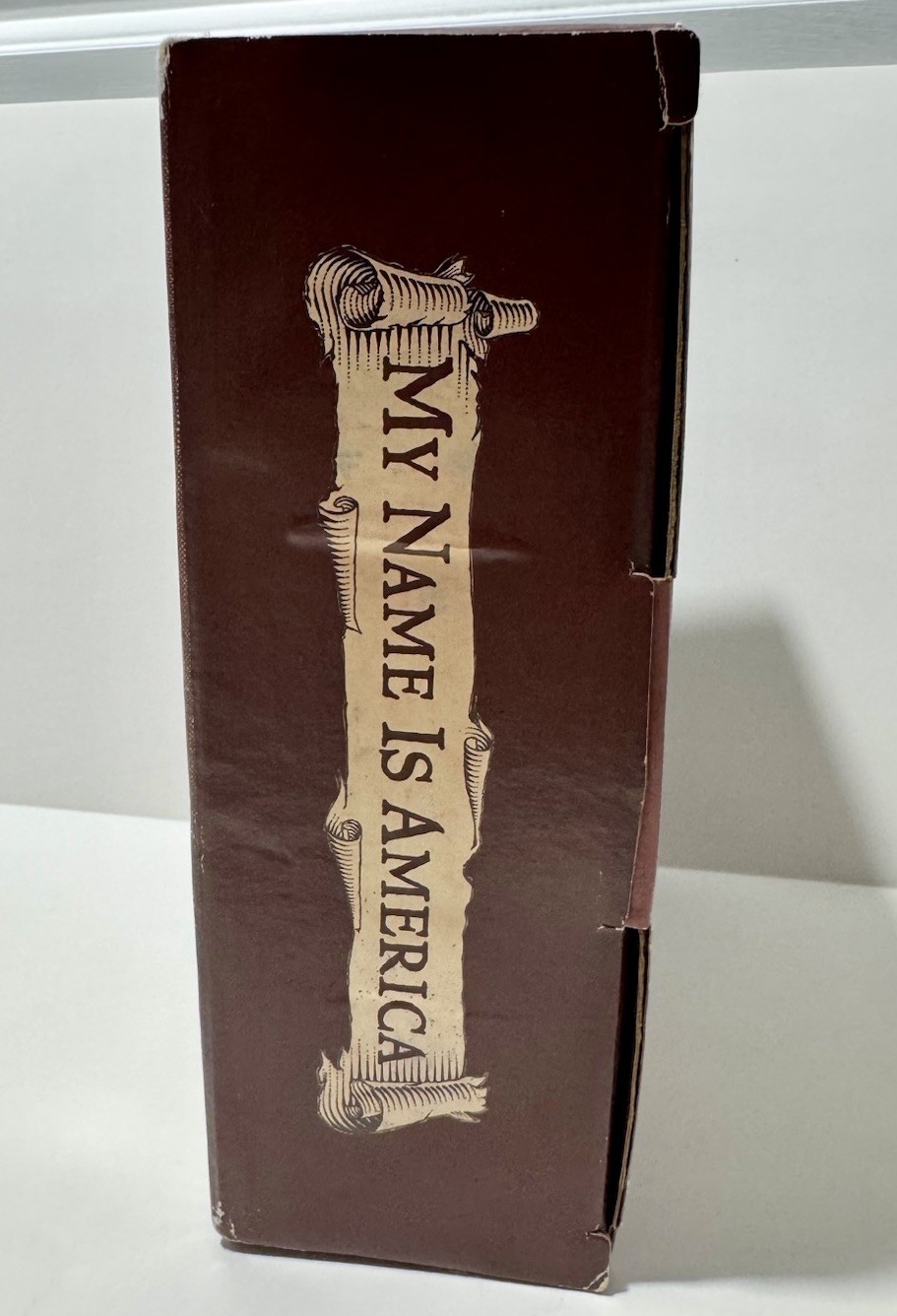 Dear American Book Series My Name Is Scholastic 4 Box Set American Journals HC
