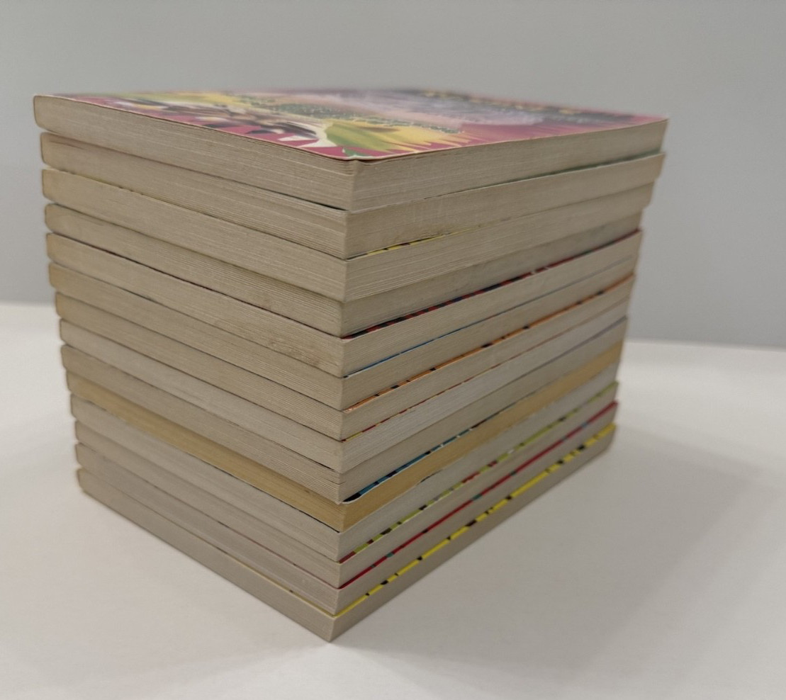 Lot of 14 Like New Vtg RL Stine Ghosts of Fear Street ppbs 13 are 1st print