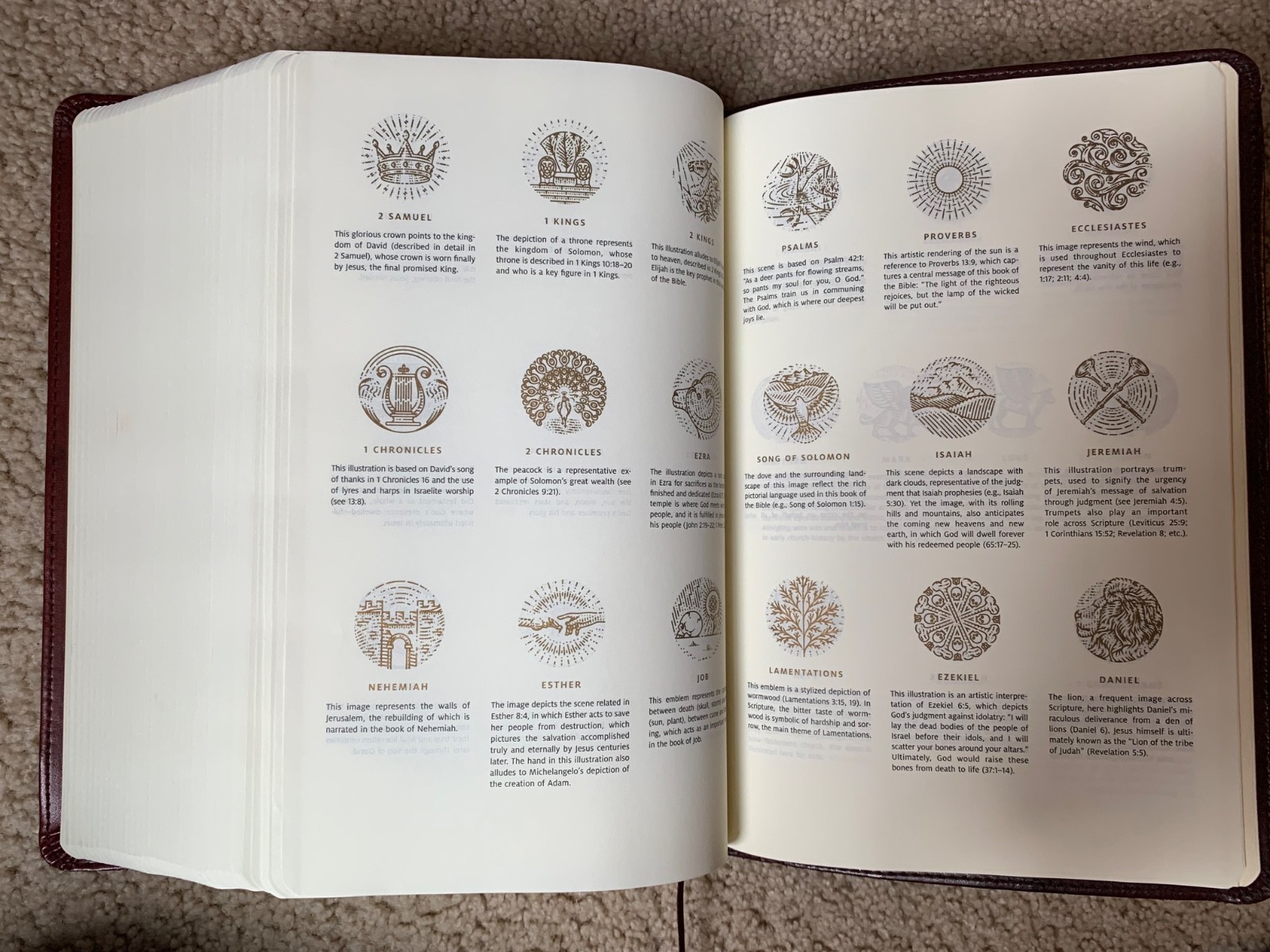 ESV Story of Redemption Bible TruTone 2018 Imitation Leather