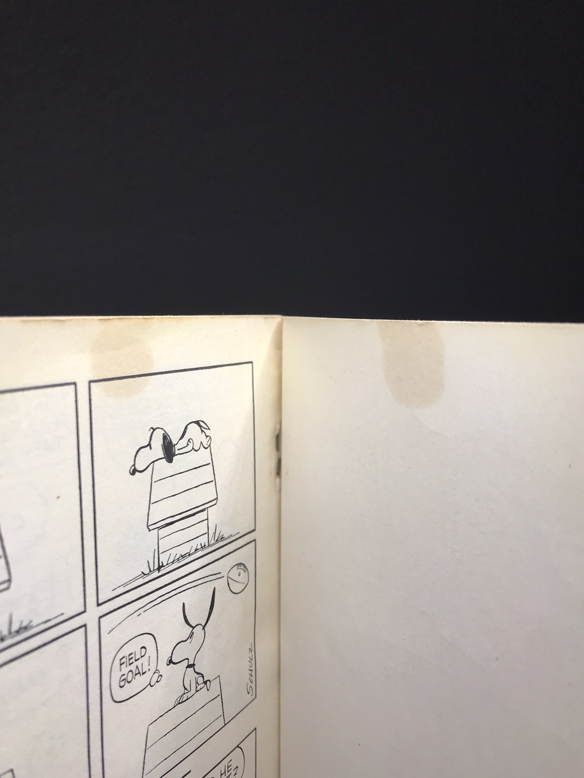 Vintage Snoopy & Snoopy Come Home Charles Schulz Paperback Comic Books Lot Of 2