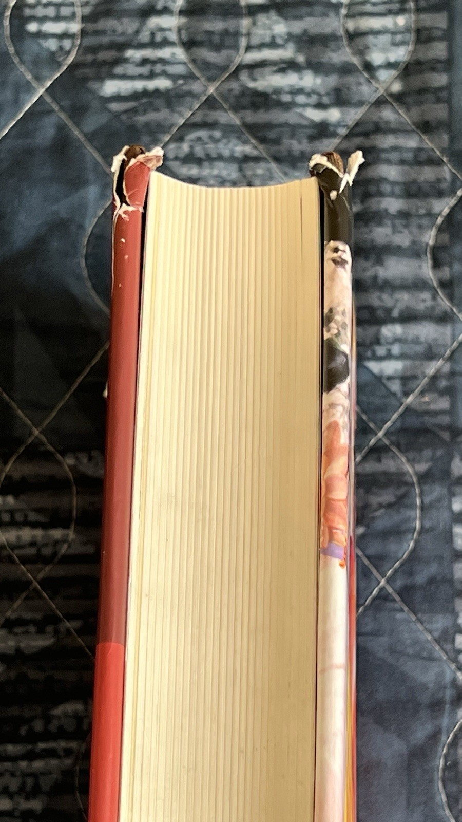 Prabhupada Srimad Bhagavatam Third Canto Part One HC Illustrated DJ BBT