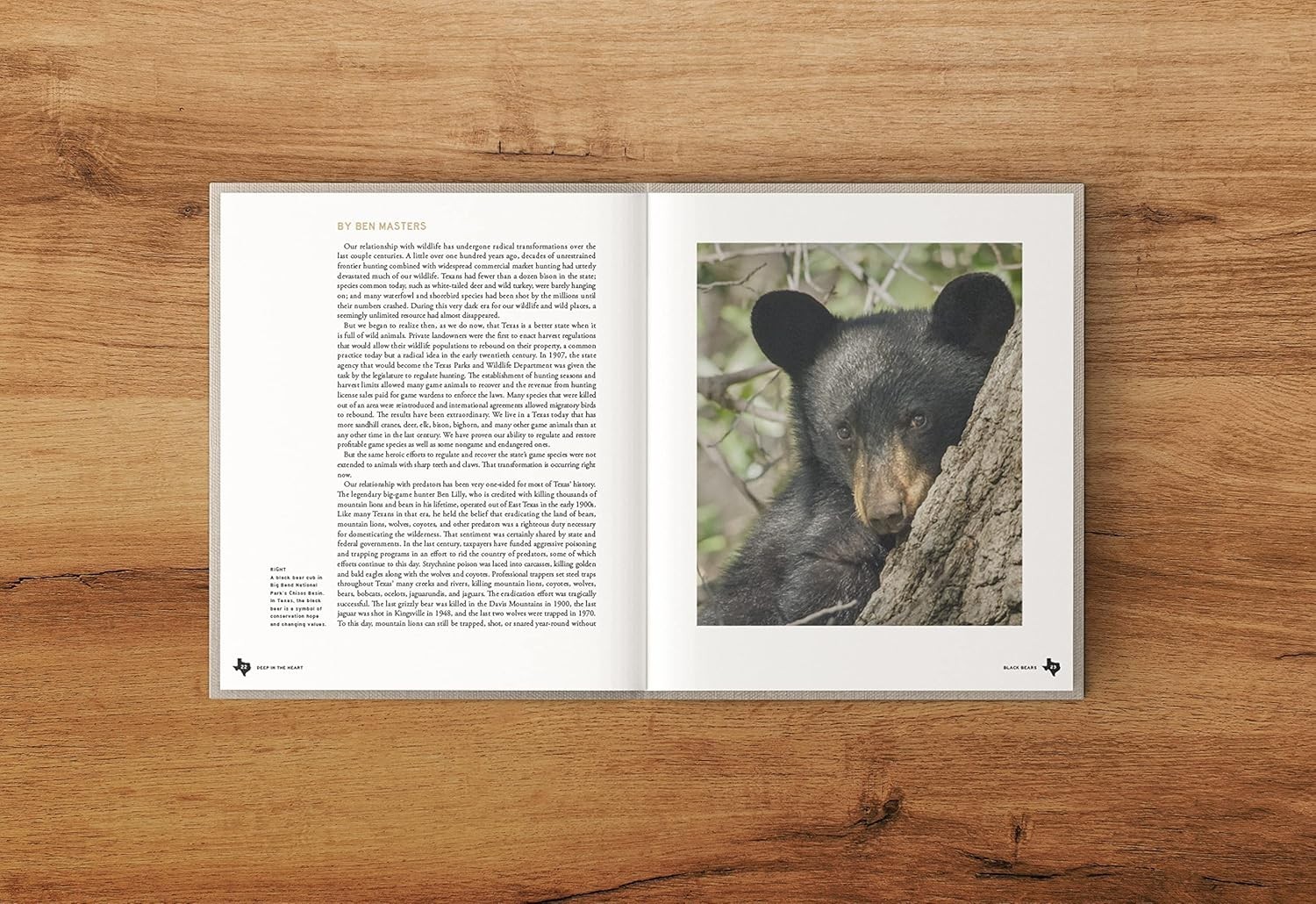 Deep in the Heart: A Texas Wildlife Story by Ben Masters