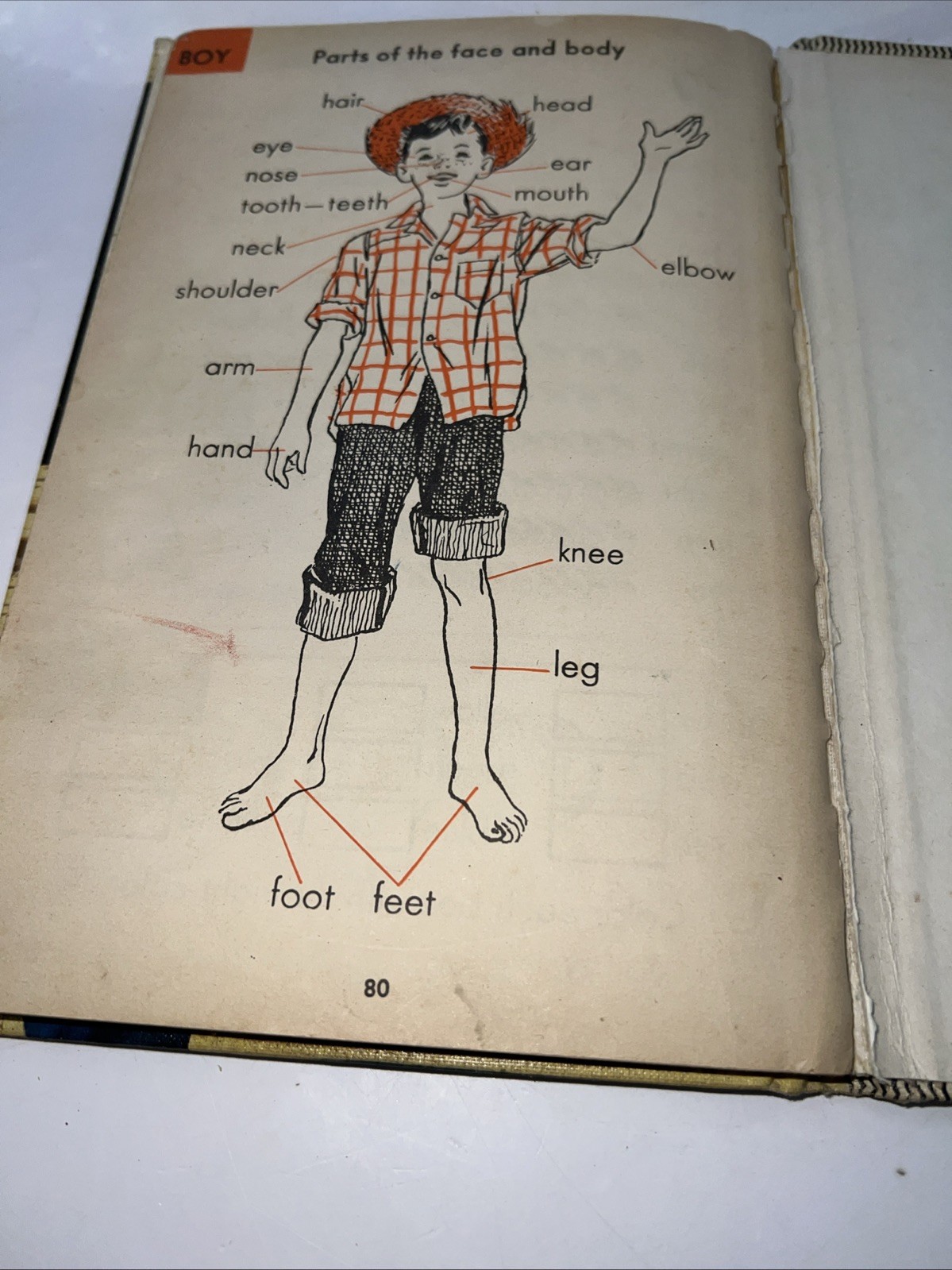 The Picture Dictionary for Primary Grades 1960 Margaret B.Parke, Ed.D. – Hard