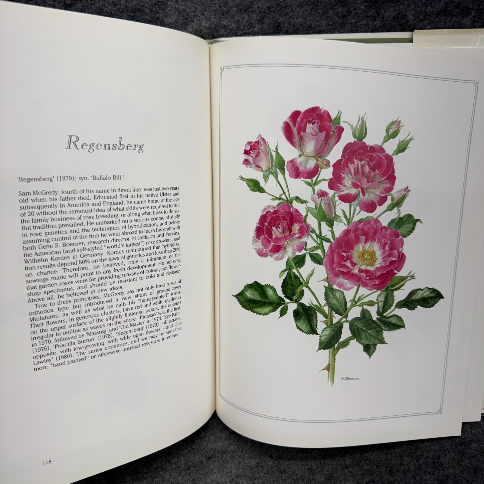 Language of Roses 1986 Stelvio Coggiatte Color Illustrations HC Illustration