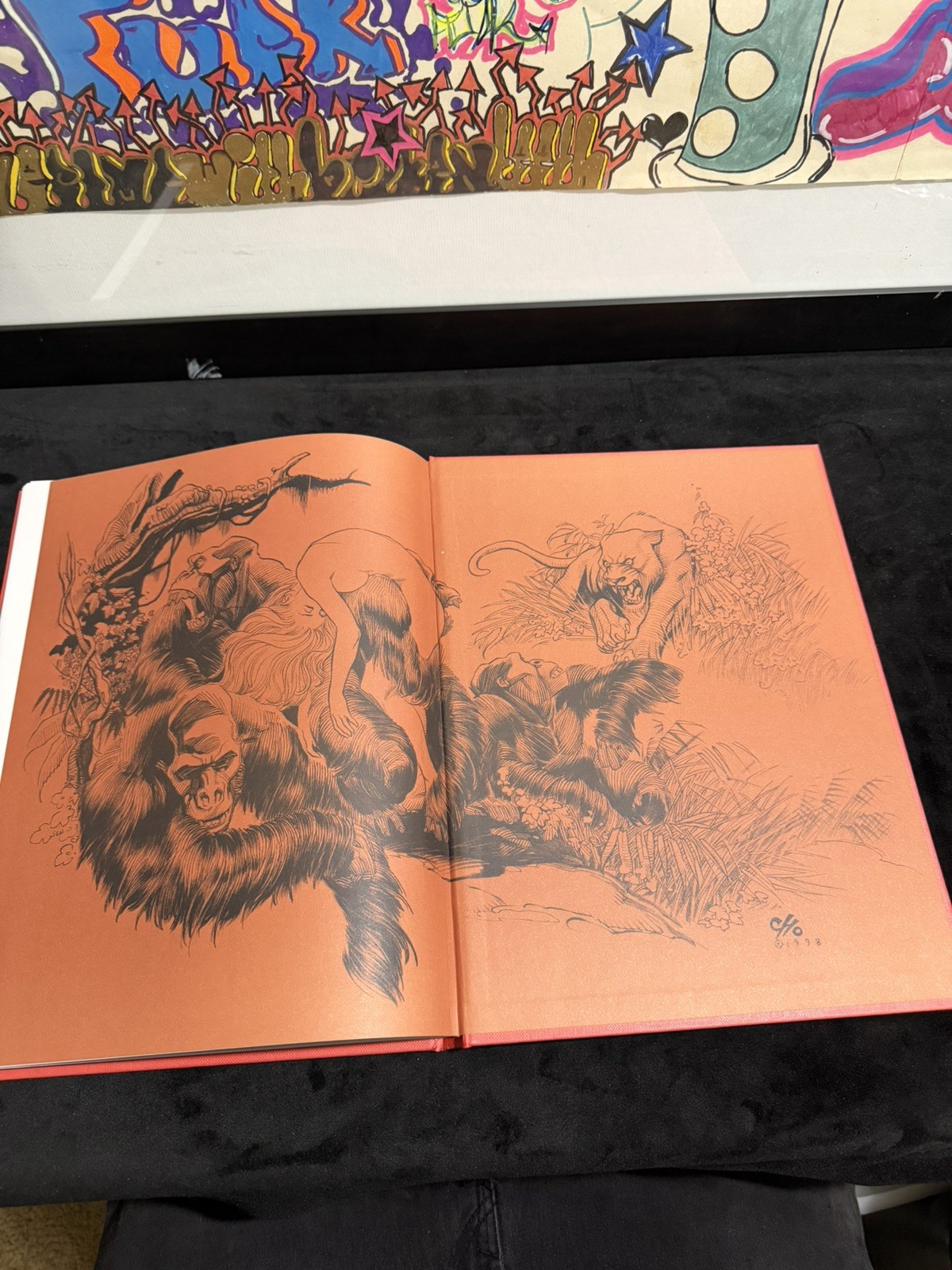 Frank Cho Illustrator, 2000, Hardcover, Regular Edition With Dust Jacket