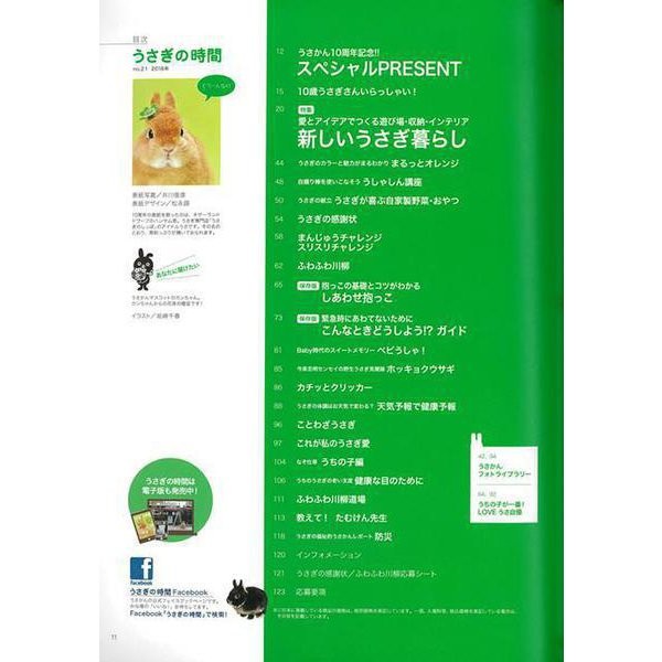 Rabbit Time No.21 Manga Book Japan Import Authentic