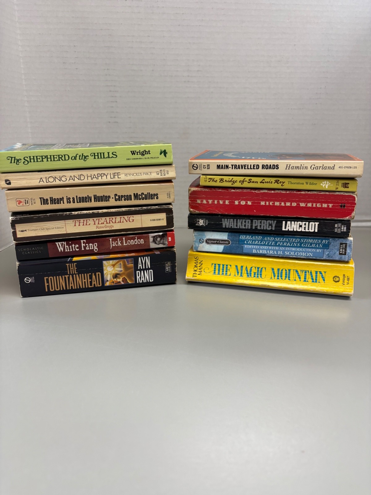 Classic Paperbacks Lot of 12 (See photos for titles)