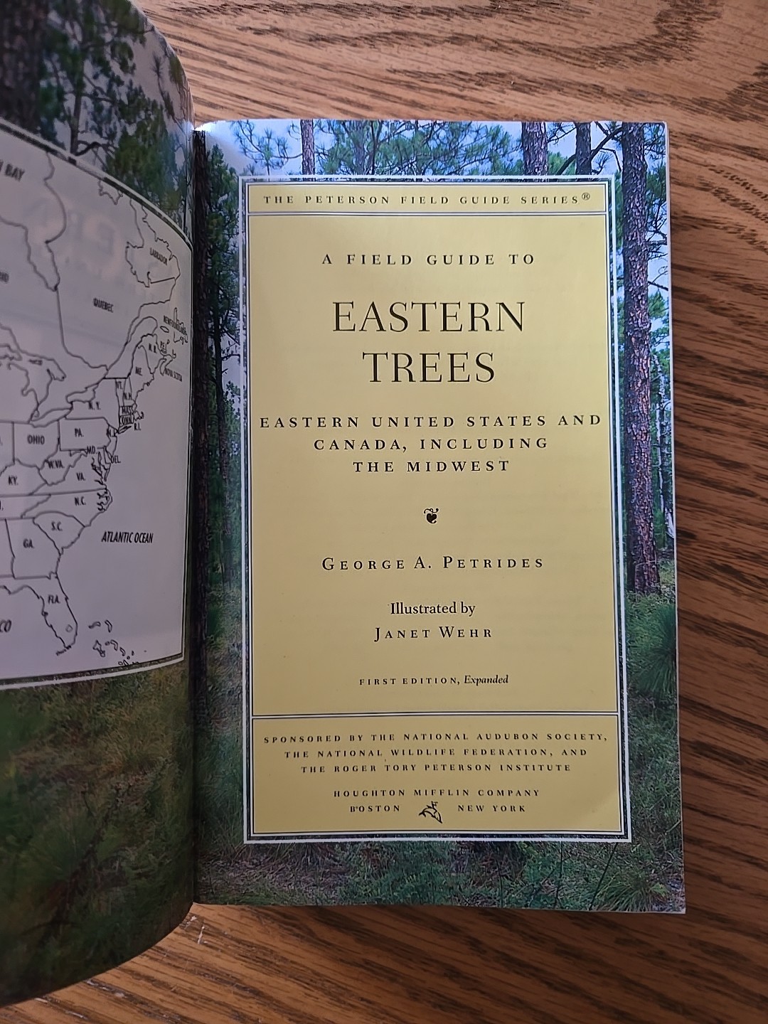 A Peterson Field Guide To Eastern Trees: Eastern United States – 1988