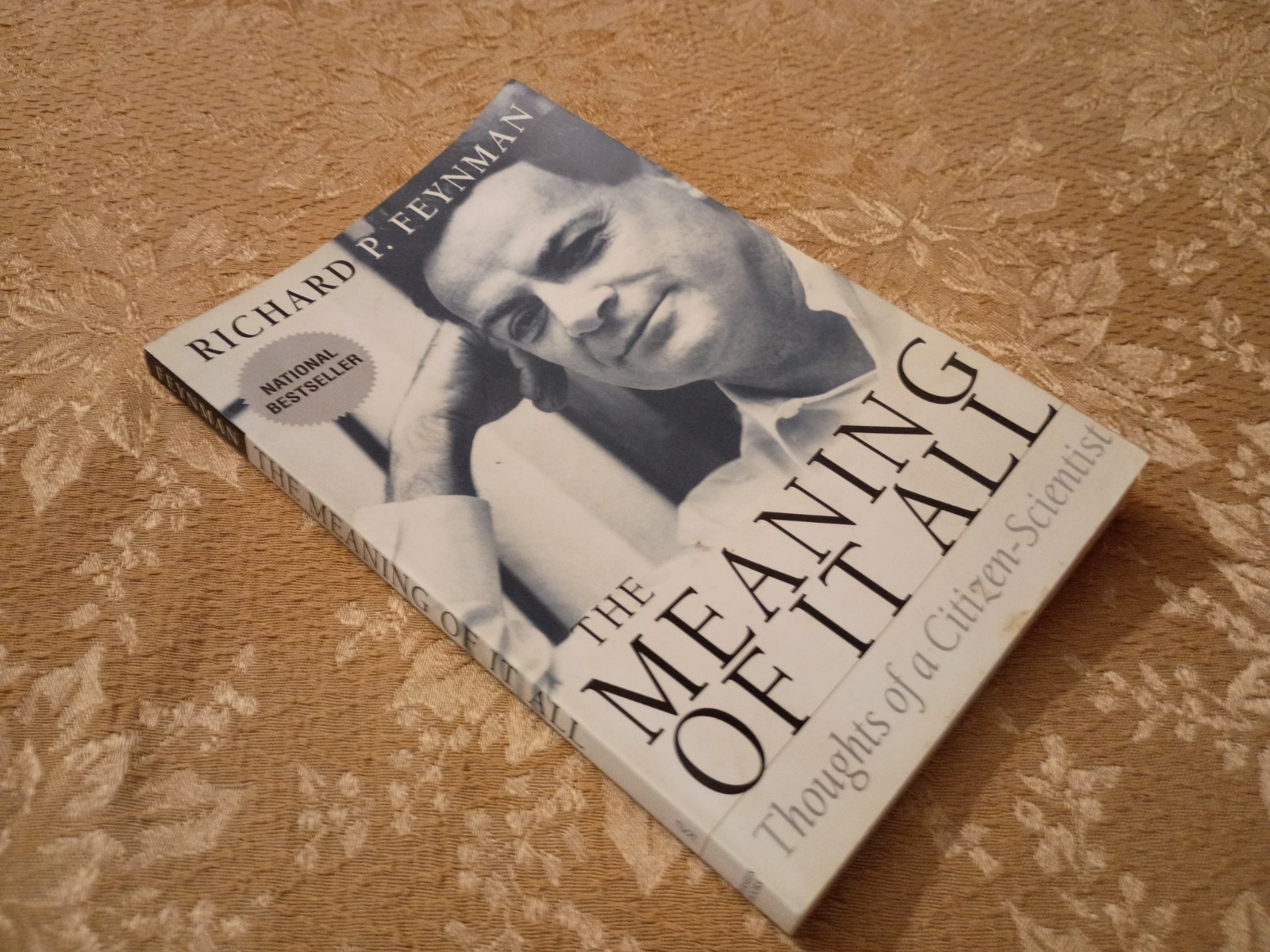 The Meaning of It All by Richard P. Feynman (1998, PB) Citizen Scientist Essays