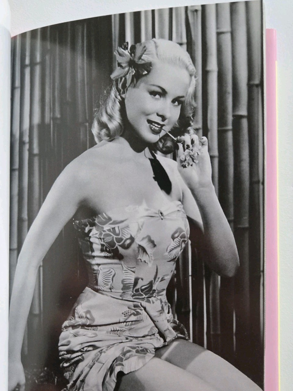 2 Mini Hardcover Lot Bernard of Hollywood Pin-Ups Redheads Blondes Vtg Photos