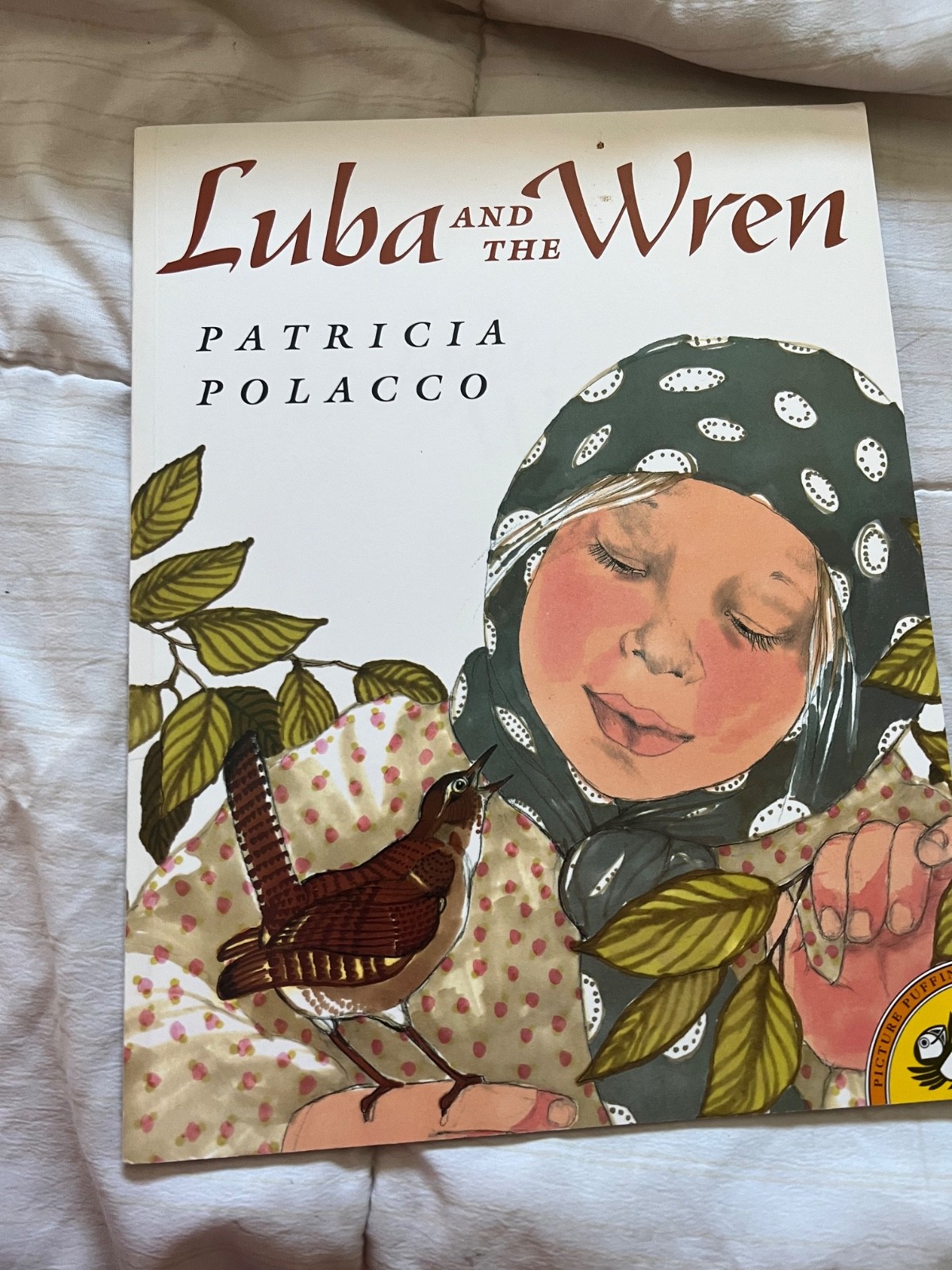 Patricia Polacco book collection – 24 books. – hard and soft back- Make an offer