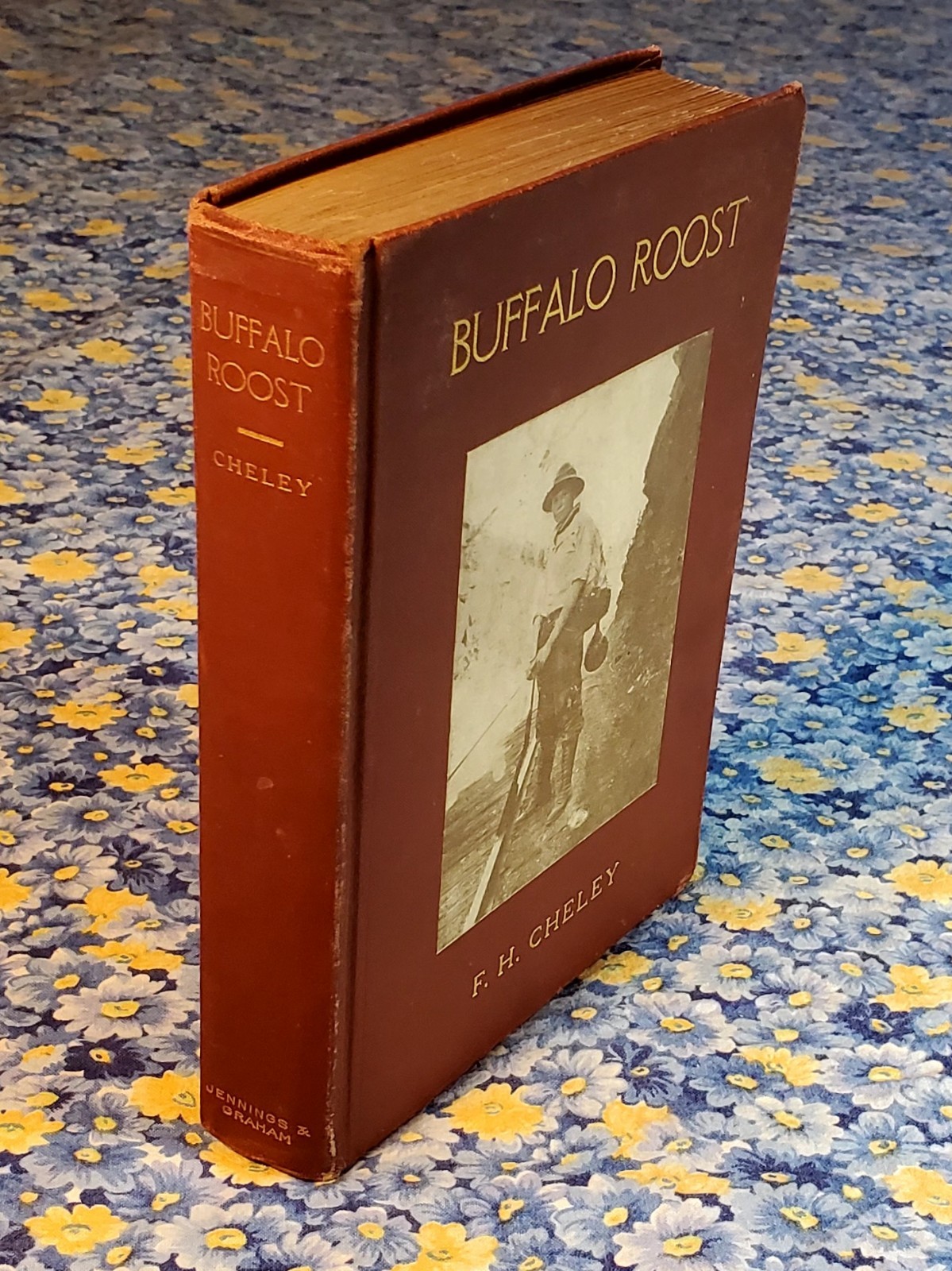Buffalo Roost, F. H. Cheley, 1913, First Edition, Hardcover, Antique