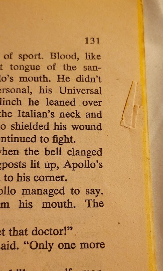 1976 Rocky Book By Julia Sorel 138 Pages