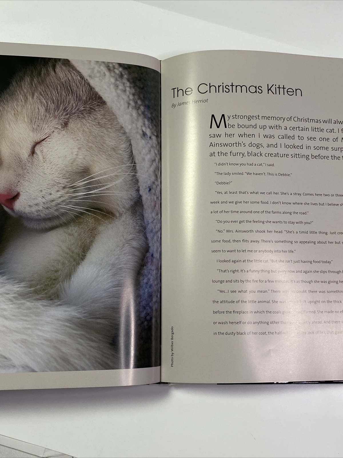 Cats 24/7 Extraordinary Photographs Of Wonderful Cats 2005 Hardcover 190 Pages