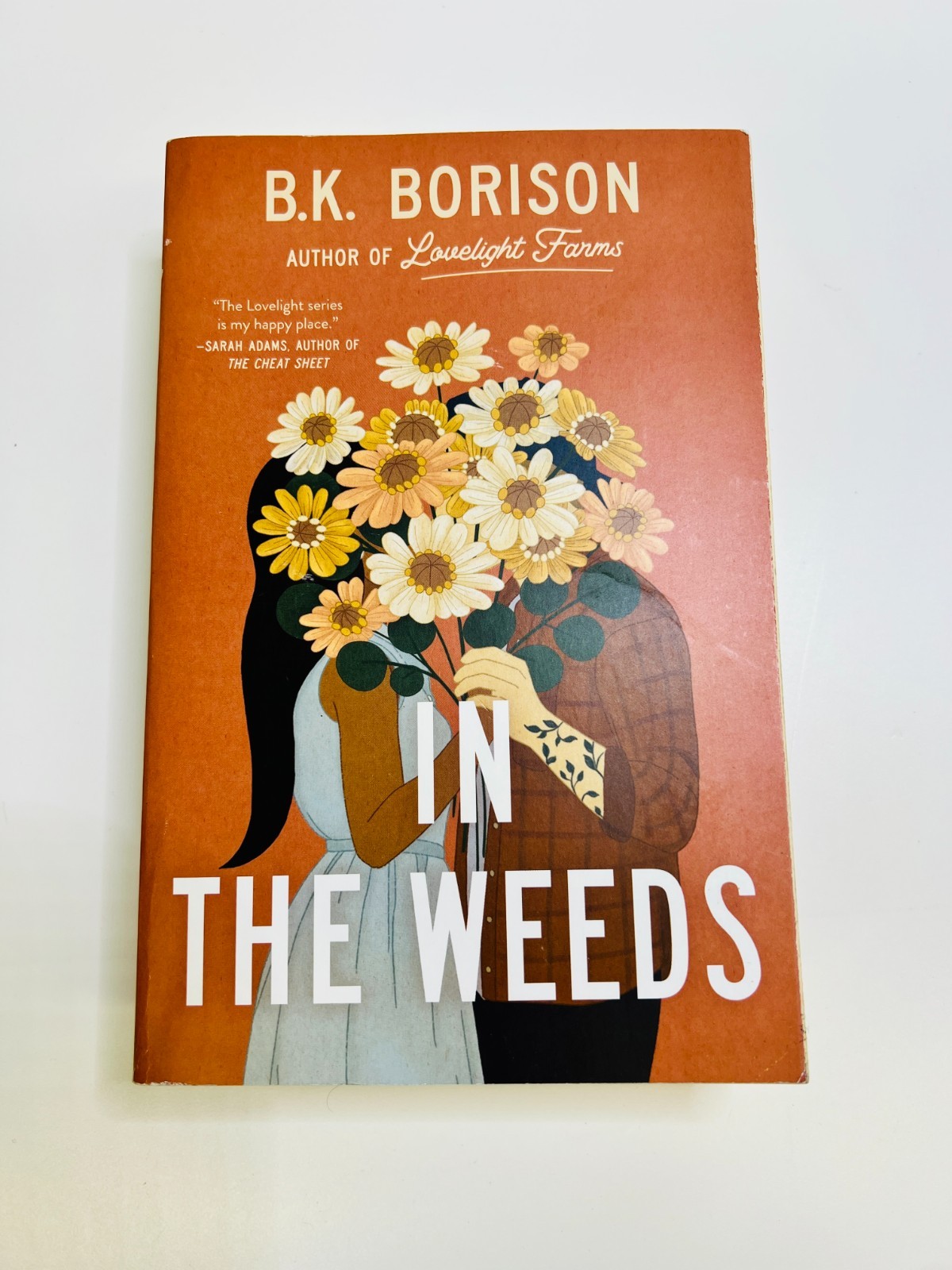 B. K. Borison Lot x 2 In the Weeds & Mixed Signals Paperbacks
