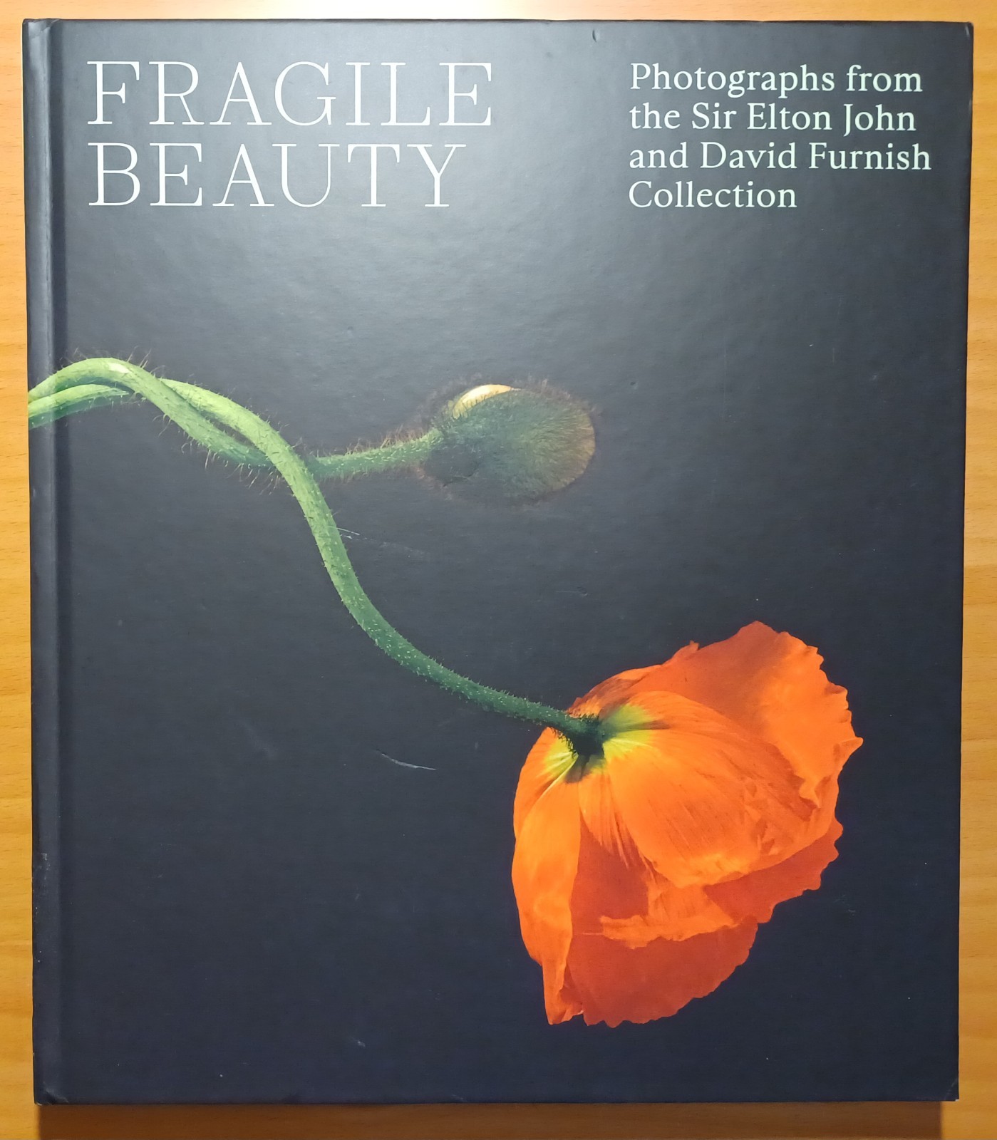 Fragile Beauty : Photographs from the Sir Elton John & David Furnish Collection