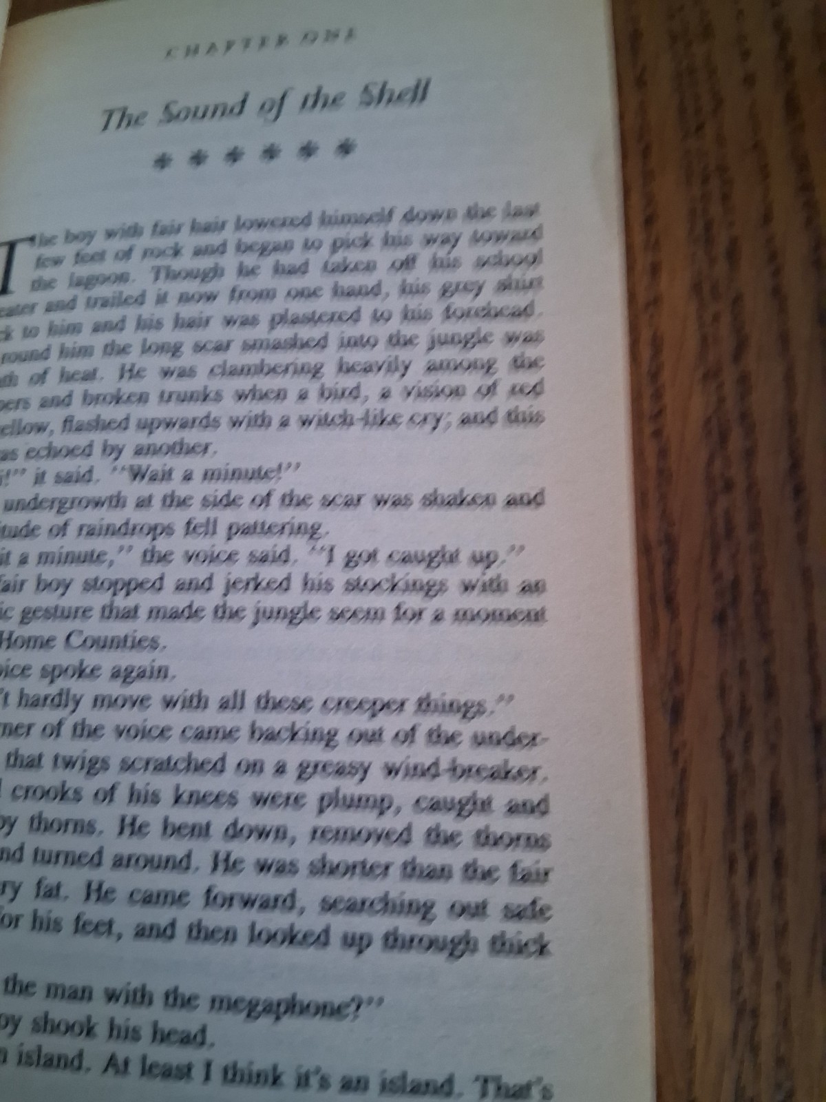 lord of the flies paperback
