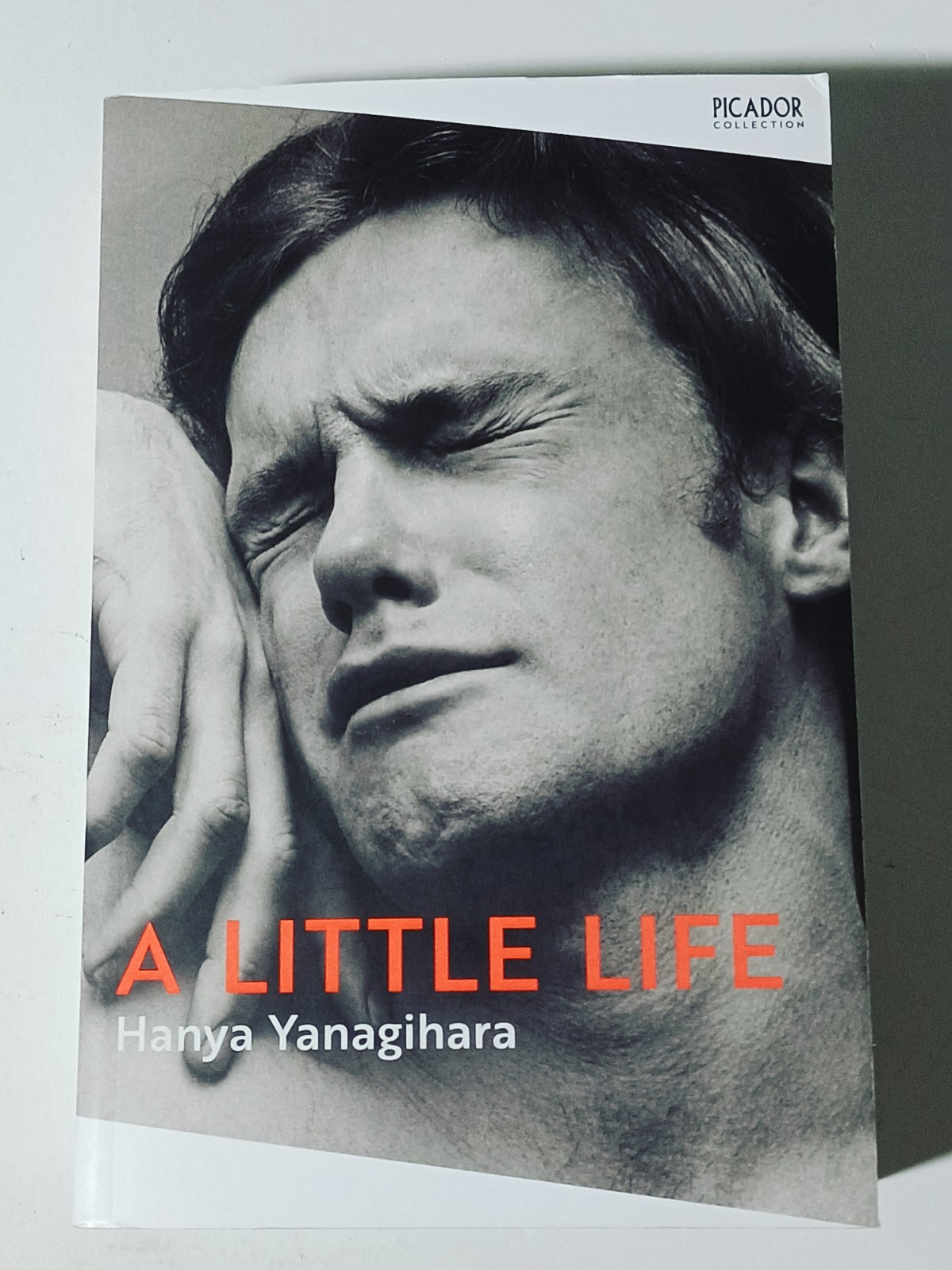 A Little Life by Hanya Yanagihara (Paperback, 2015)