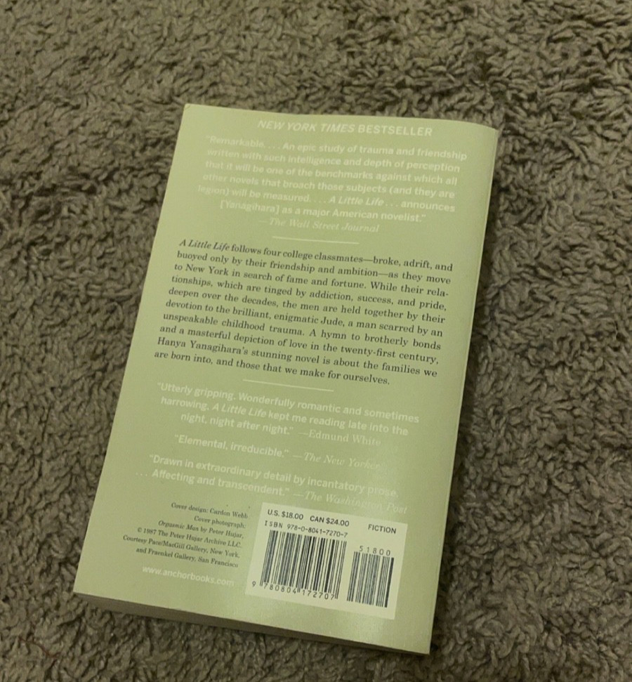 A Little Life Hanya Yanagihara Paperback – Preowned great condition