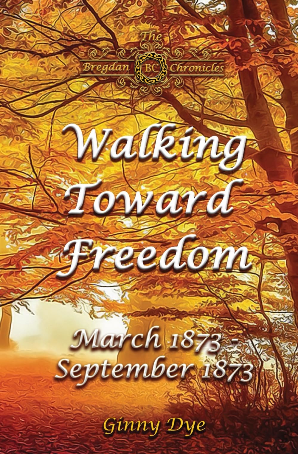 Walking Toward Freedom (# 20 in The Bregdan Chronicles Historical Fiction Ro…