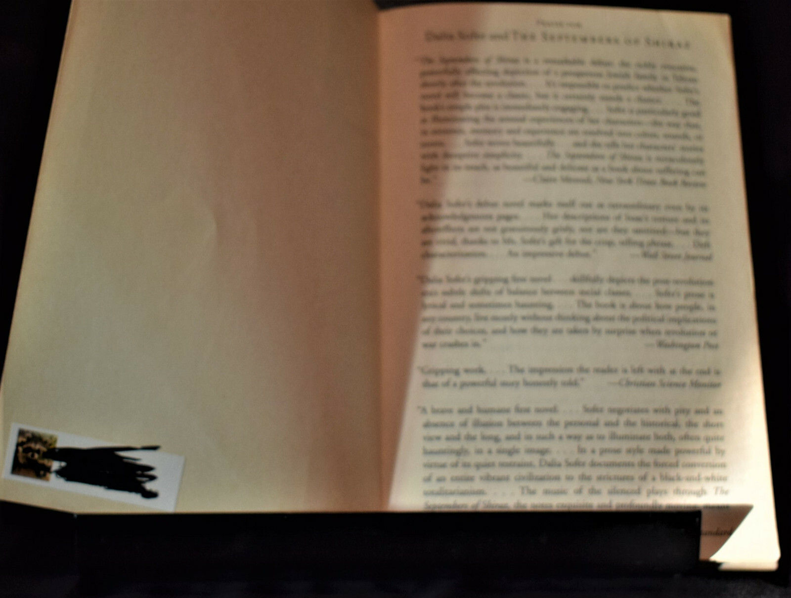 The Septembers of Shiraz; A Novel by Dalia Sofer Paperback – 350 pages