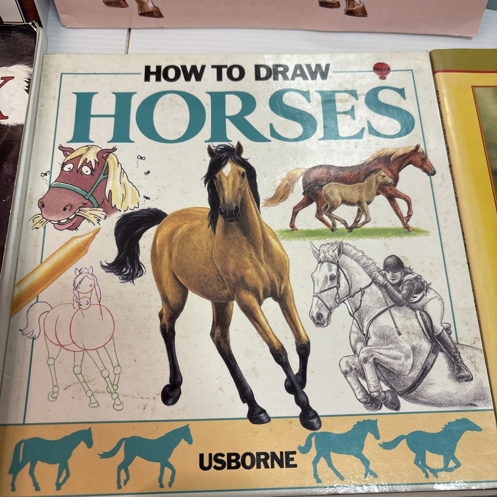 Lot of 12 Horse Books Equine Riding Training Polo Equestrian Care Health Color