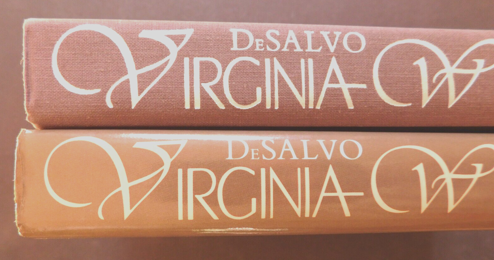 Biography VIRGINIA WOOLF Impact of Child Sexual Abuse by De Salvo 372 pages HCDJ