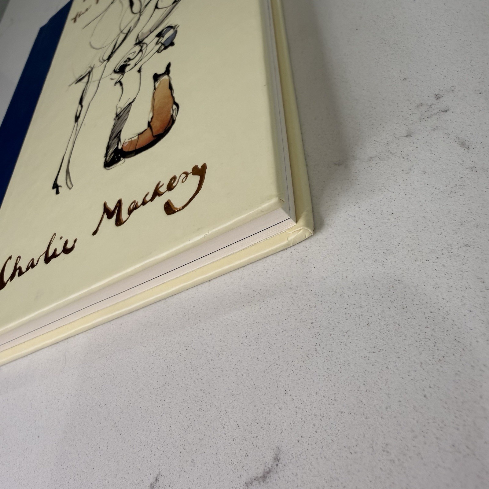 The Boy, the Mole, the Fox and the Horse Illustrated Hardcover Charlie Mackesy