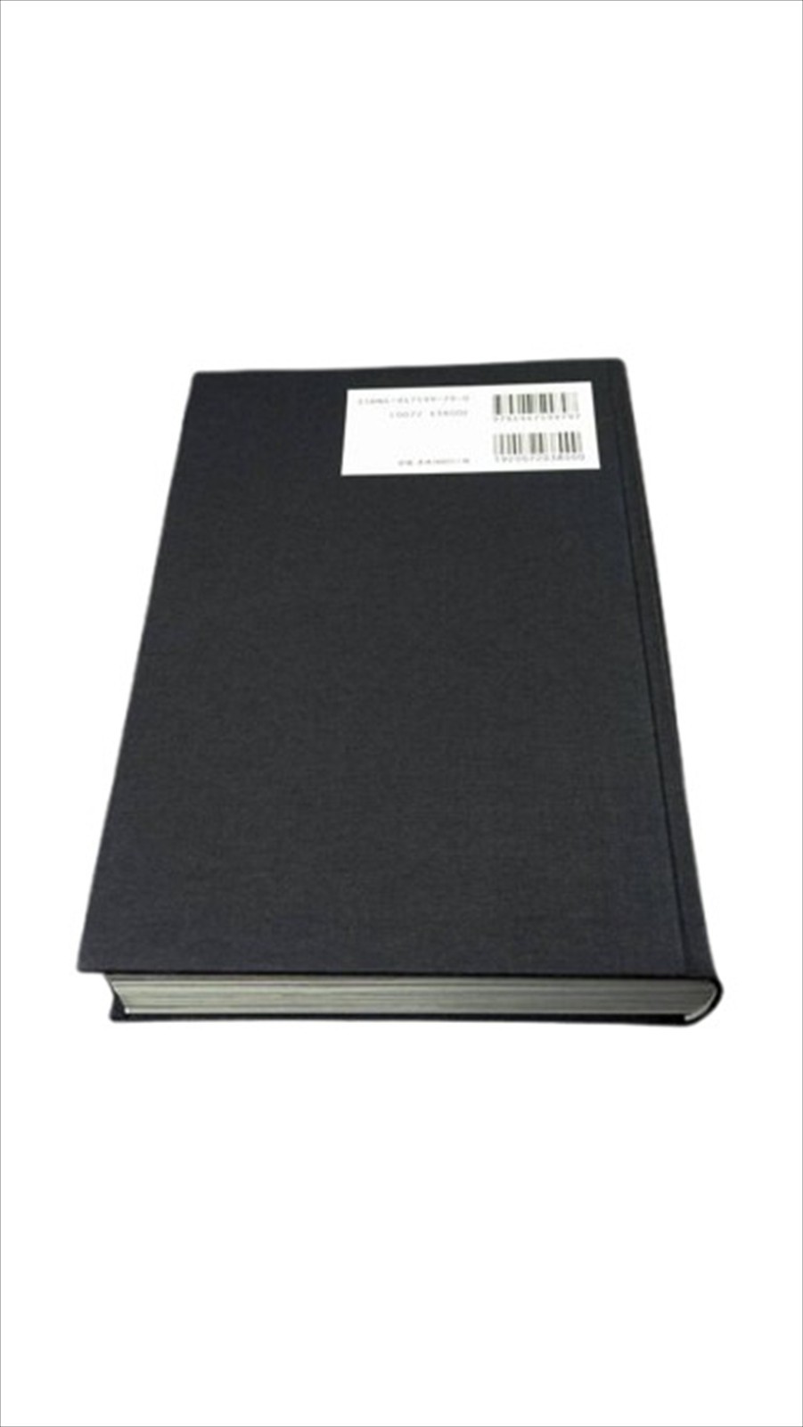 HIROMIX Photo Book HIROMIX WORKS Best Selection 5 Years 2000 Celebrity Model