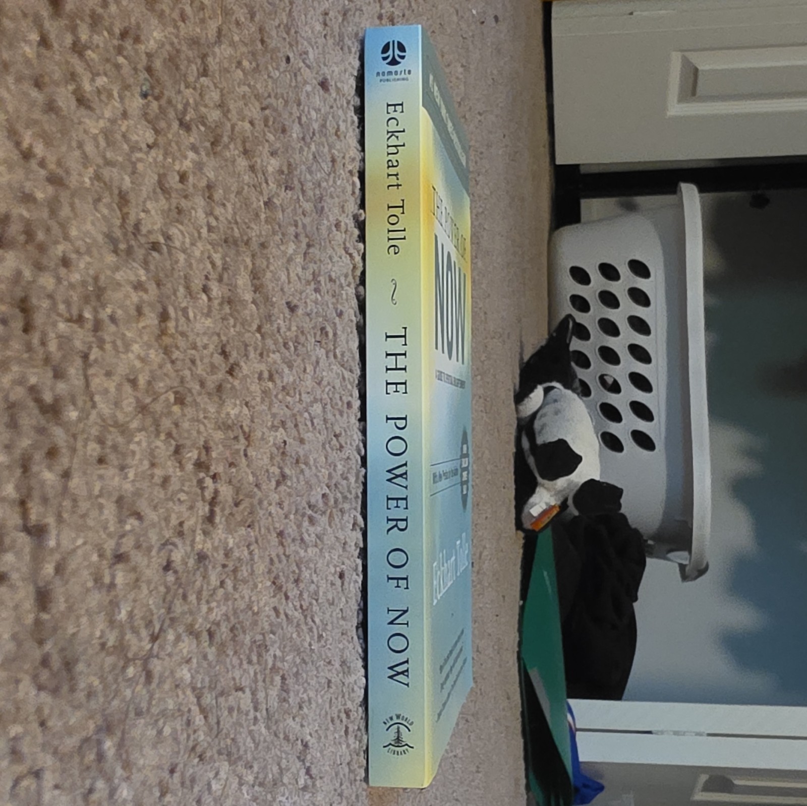 Eckhart Tolle The Power of Now Trade Paperback 2004 Spirituality Book