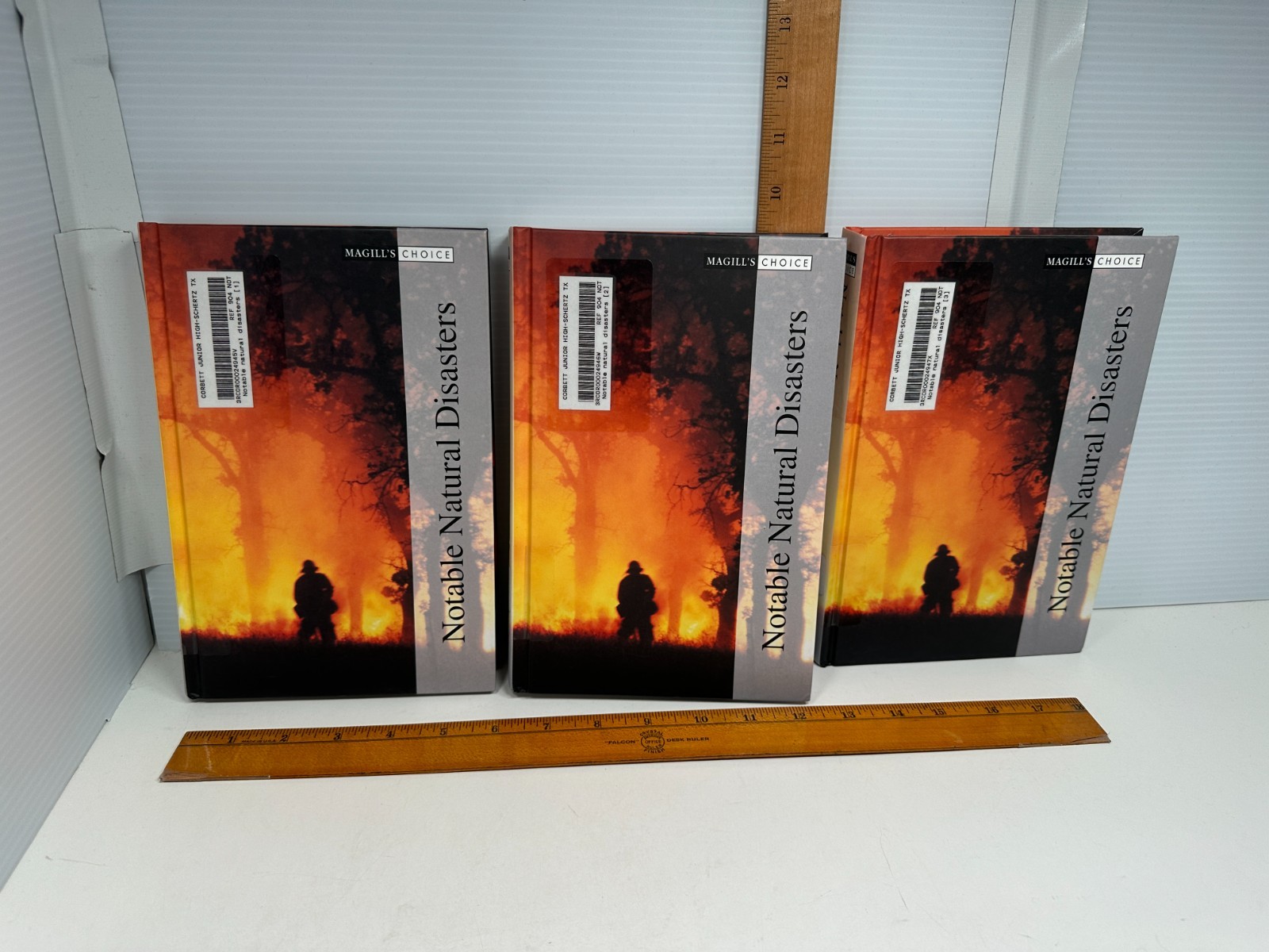 Notable Natural Disasters , Magill’s Choice 3 Volume Set Homeschool Reference