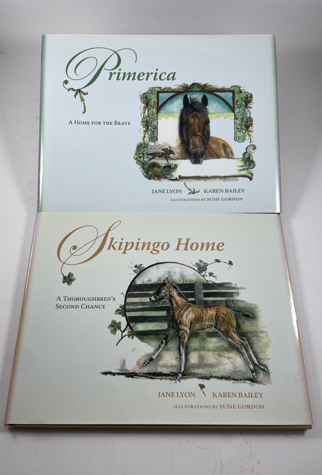 Primerica & Skipingo Home By Jane Lyon & Karen Bailey, Hardcover, 39 Pages Each