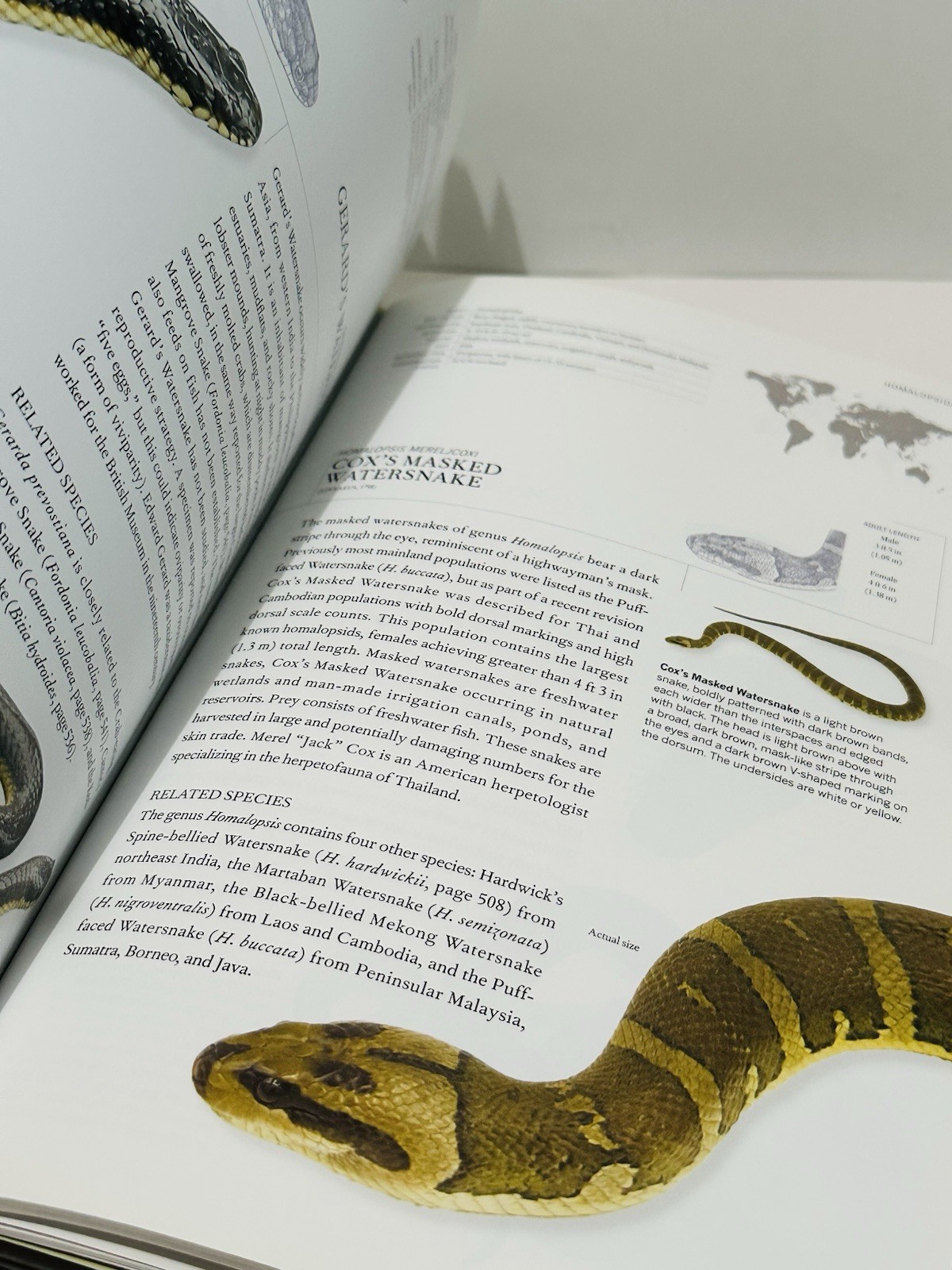 Book of Snakes: A Life-Size Guide to Six Hundred Species From Around the World