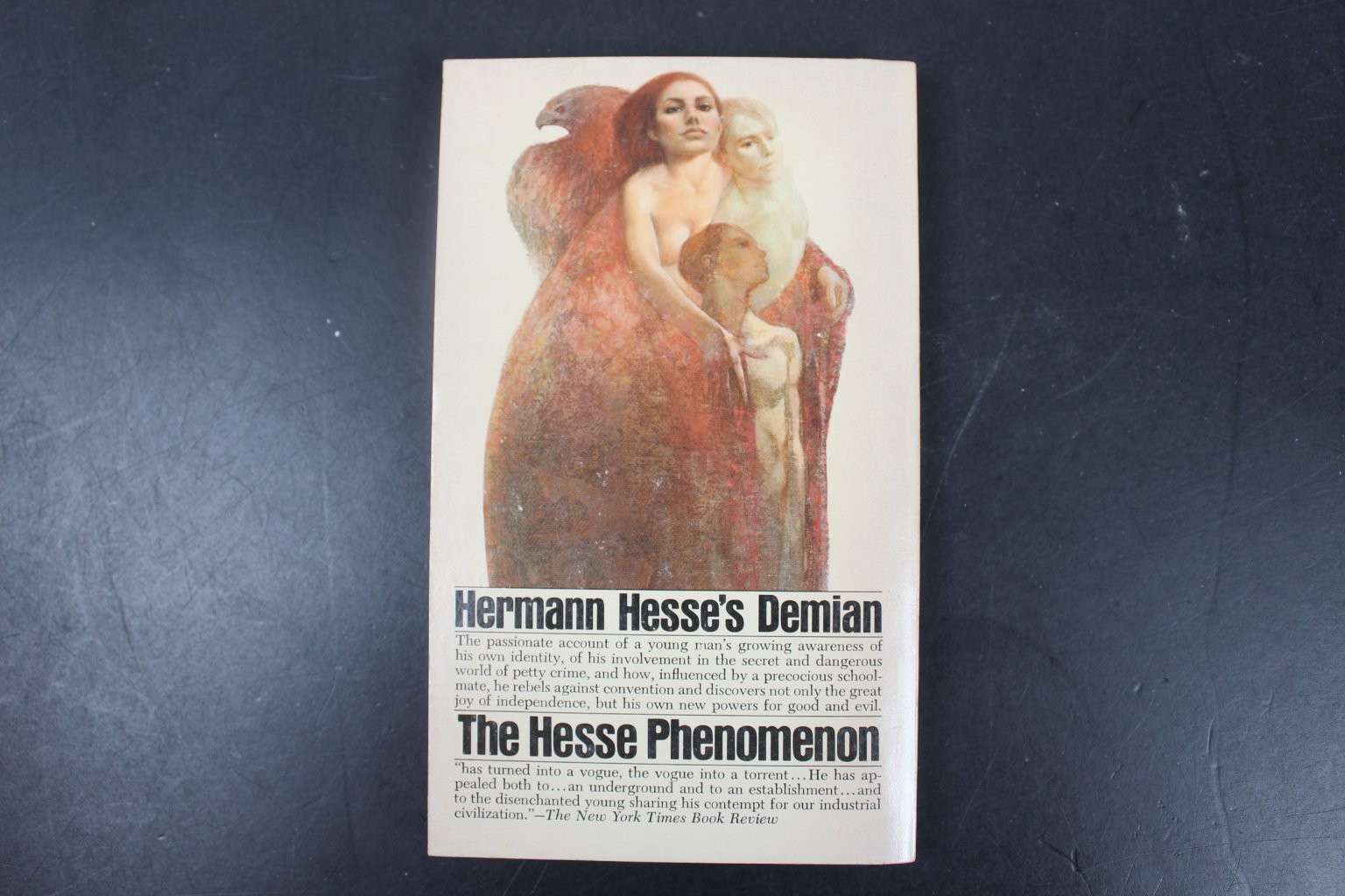 Demian Hermann Hesse 1974 Bantam Edition Philosophical Fiction Classic PB
