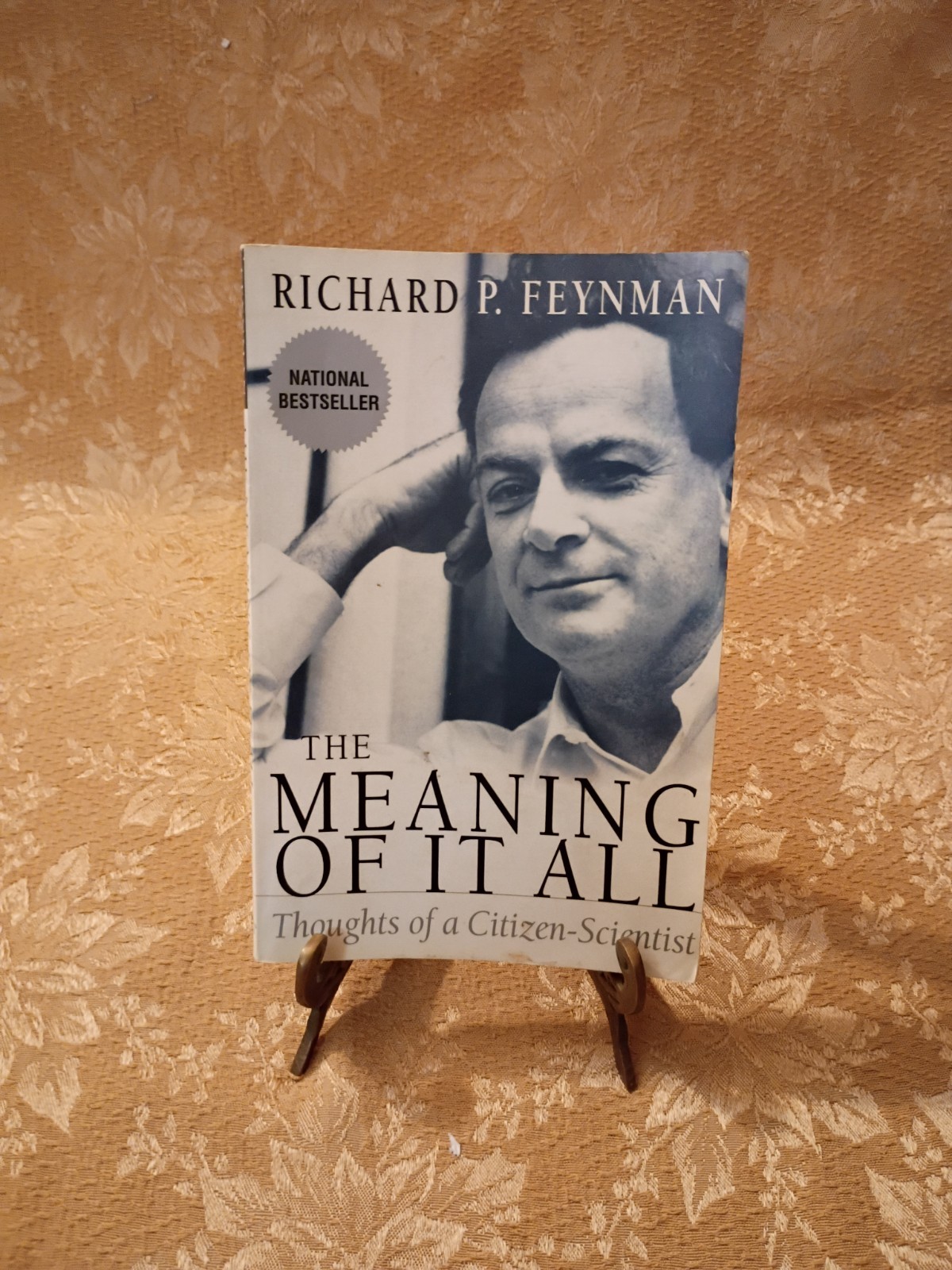 The Meaning of It All by Richard P. Feynman (1998, PB) Citizen Scientist Essays