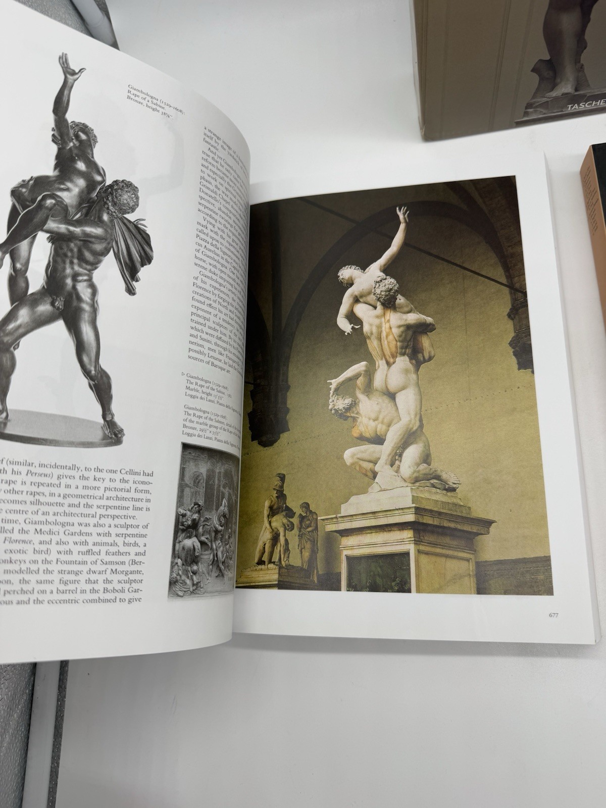 Sculpture From Antiquity to the Present Day by Georges Duby Slipcase 2 Books