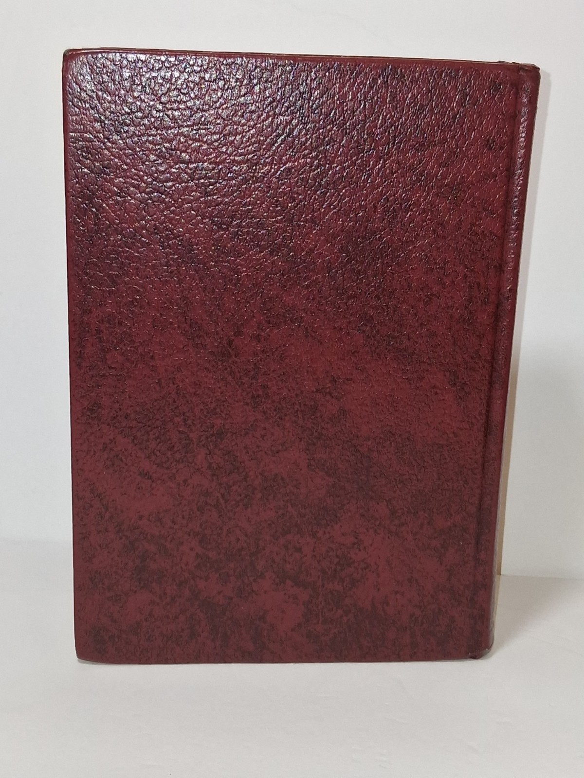 The New American Bible Fireside Catholic Study Edition NAB Leather Cover